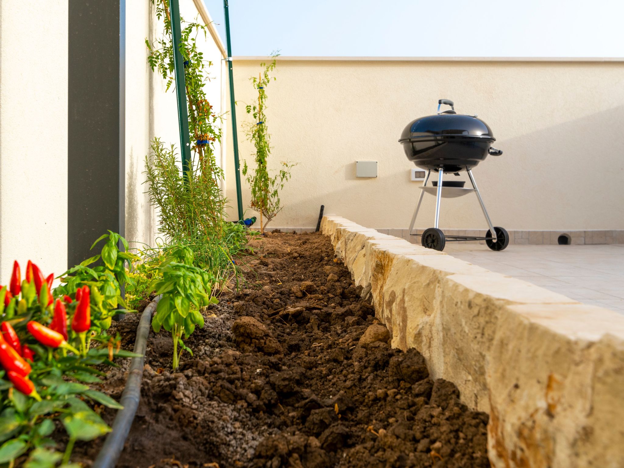 Wohnung Il Mandorlo-Image-tags.info