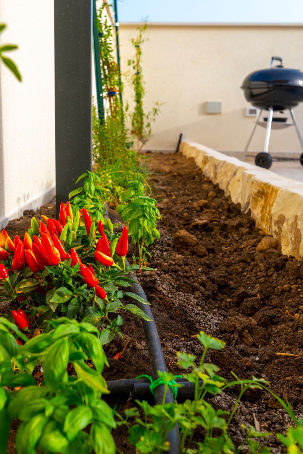 Wohnung Il Mandorlo-Image-tags.info