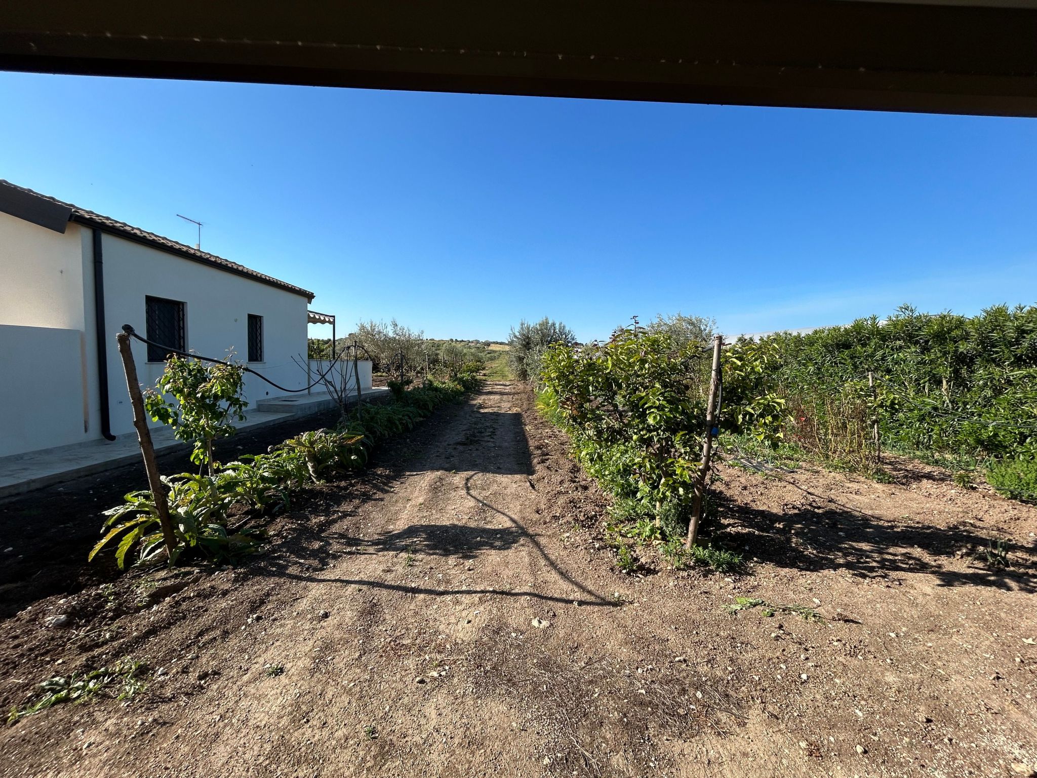 Wohnung in Noto mit Terrasse, gemeinsamem Pool und Garten-Image-tags.info