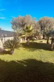 Authentieke villa met privézwembad nabij Canicattini Bagni, Sicilië - thumbnail 2