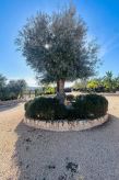 Authentieke villa met privézwembad nabij Canicattini Bagni, Sicilië - thumbnail 6