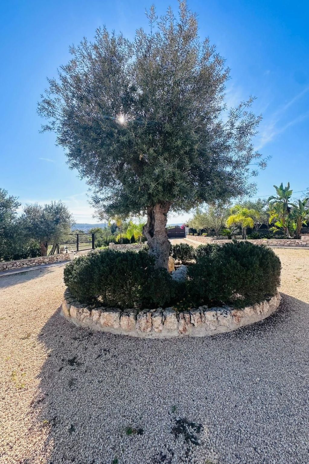 Villa Casale Bagni mit eigenem Pool-Image-tags.info