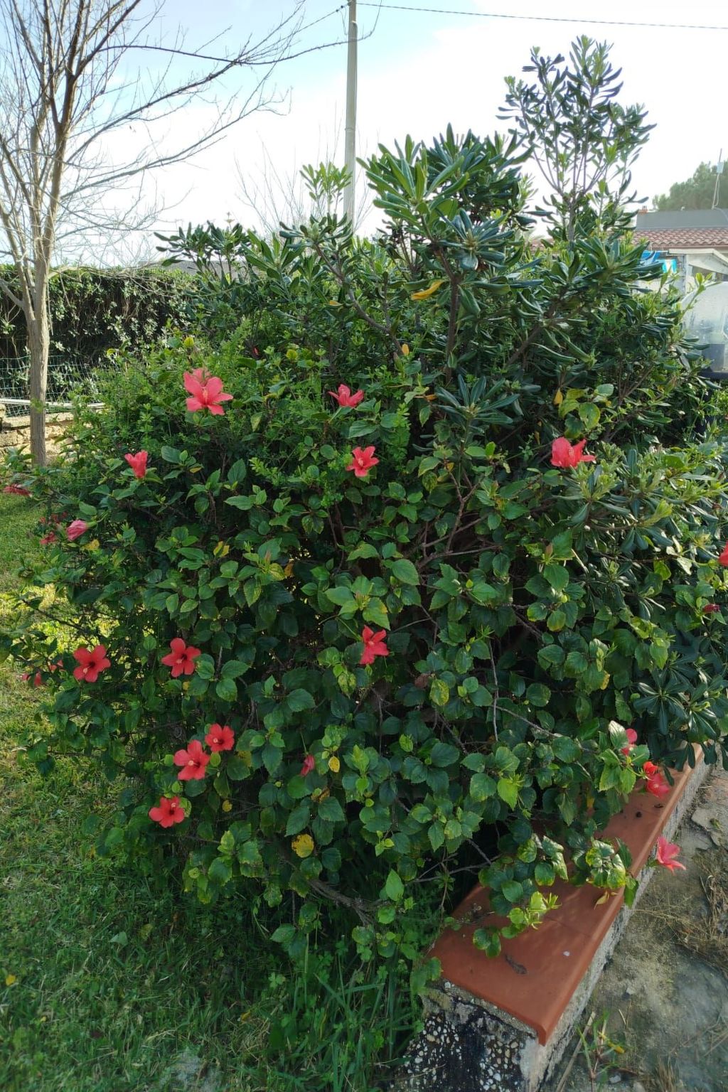 'Villetta mare' mit Blick aufs Wasser-Binnen