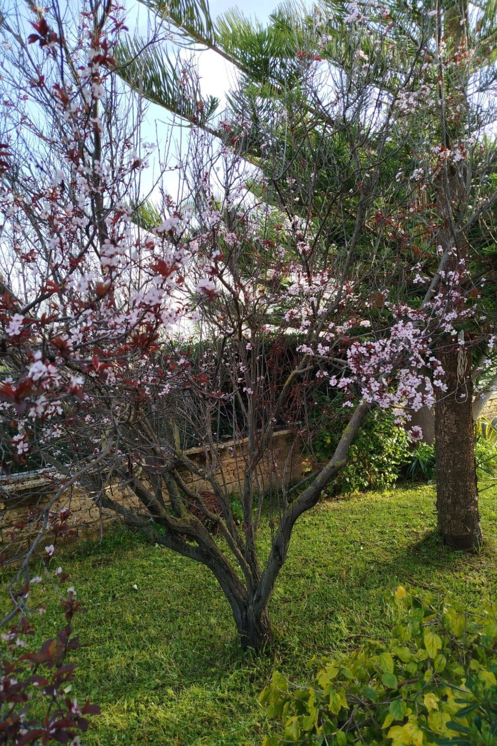 'Villetta mare' mit Blick aufs Wasser-Binnen