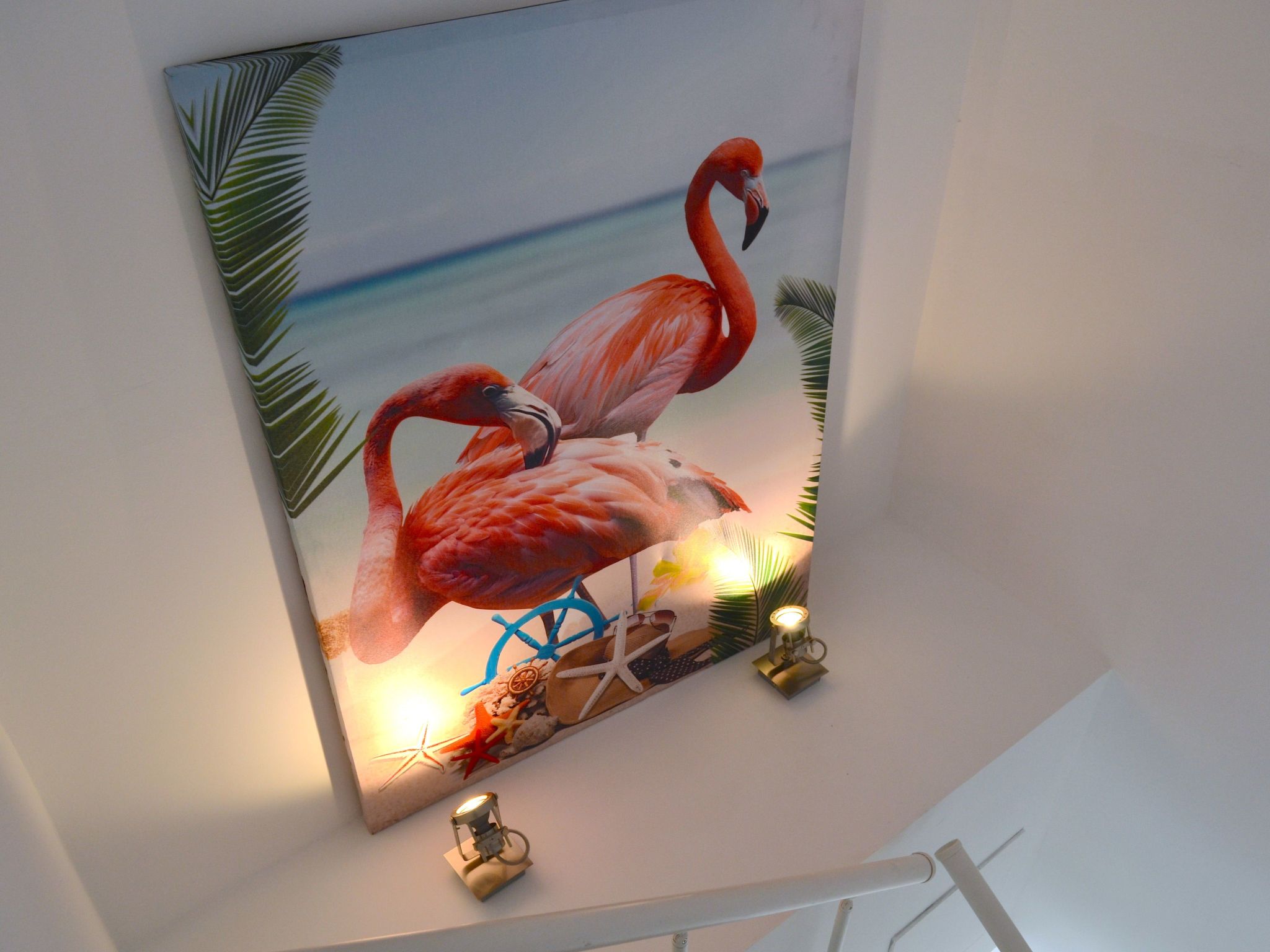 'Flamingo Spa-Image-tags.info