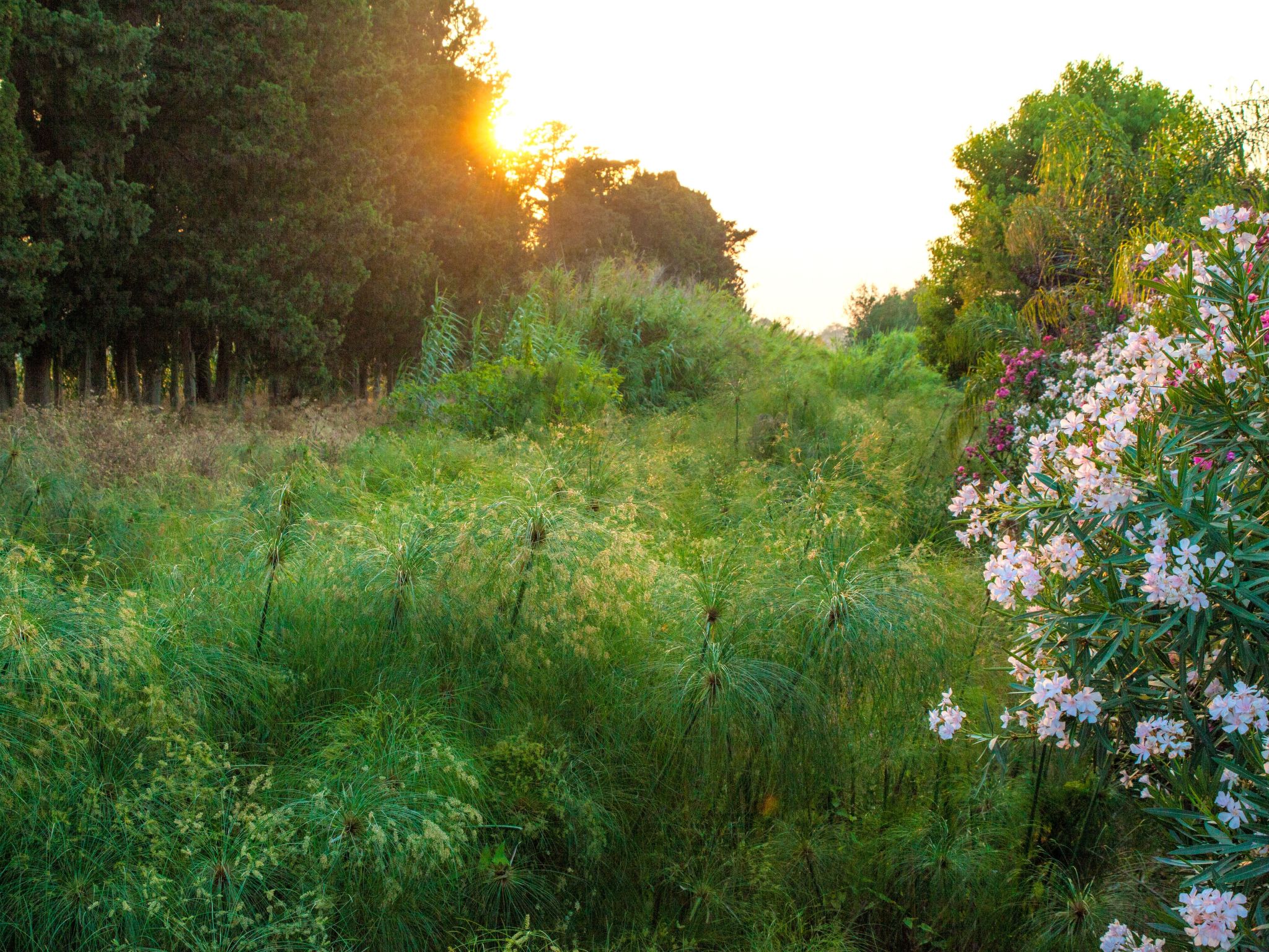 Villa dei Papiri - Mini-Doppelwohnung auf zwei Ebenen mit Küche und eigenem Gar-Image-tags.info