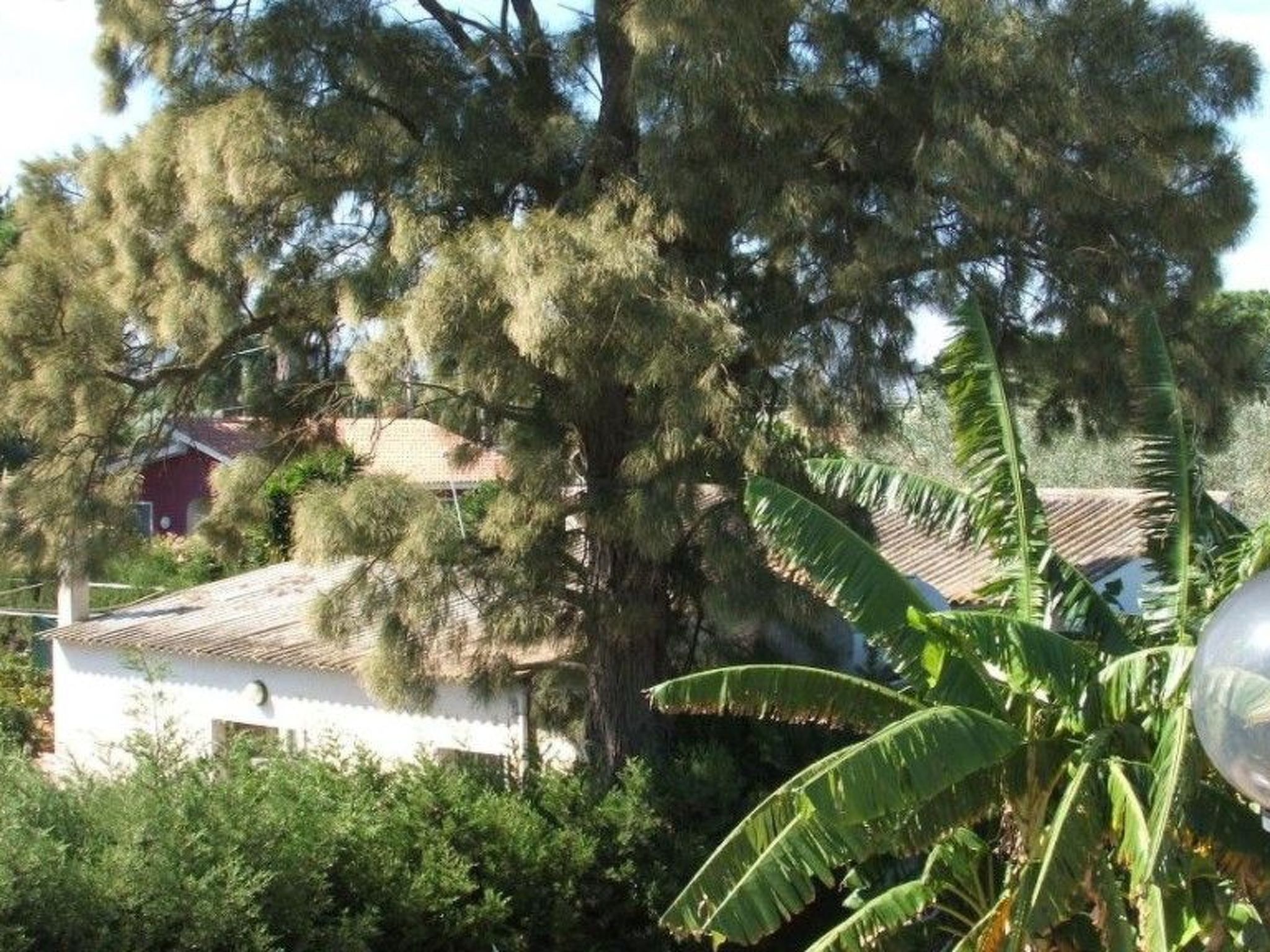 Appartamento Azzurro-Binnen