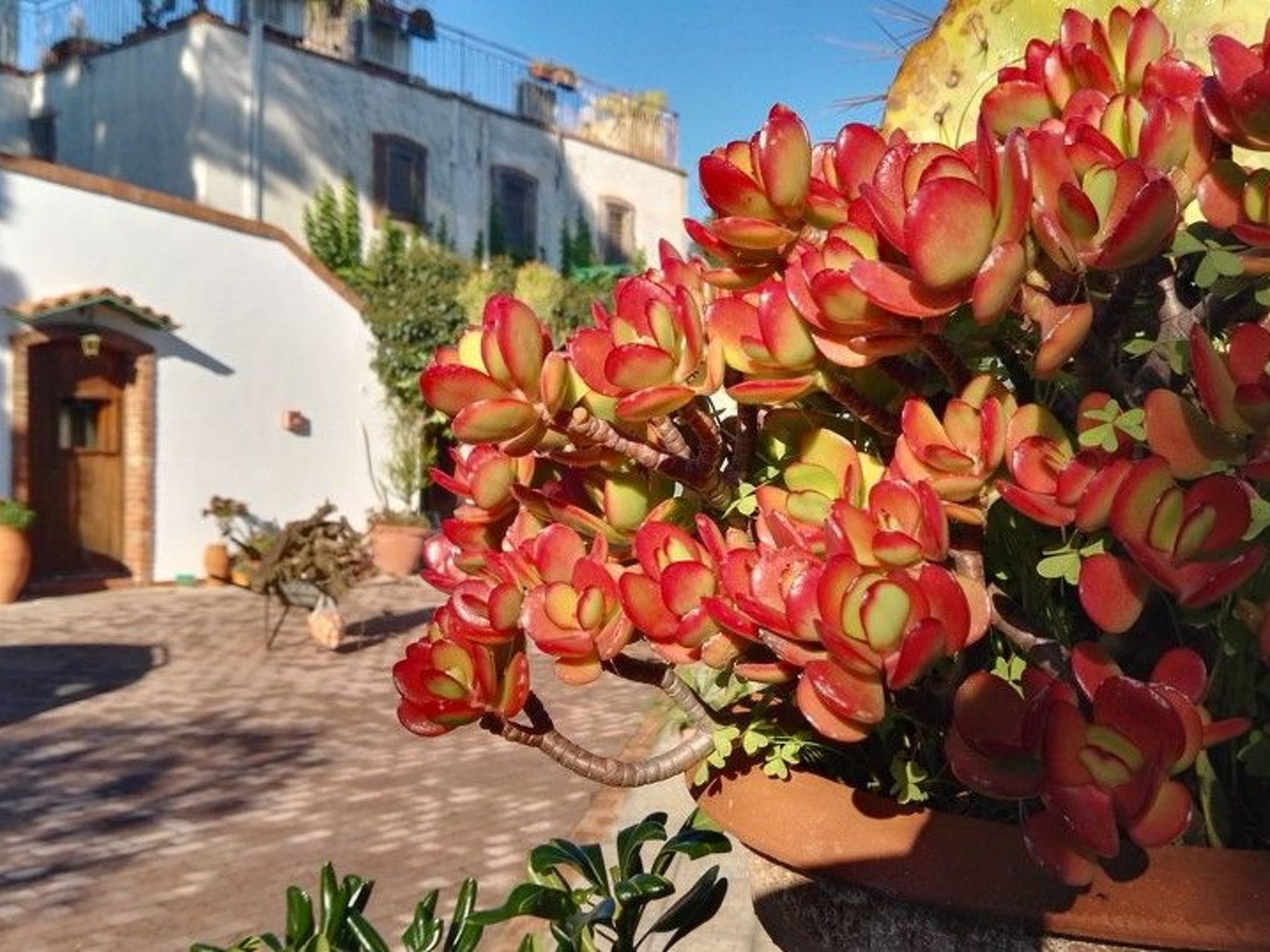 Für 12 Personen in Syrakus