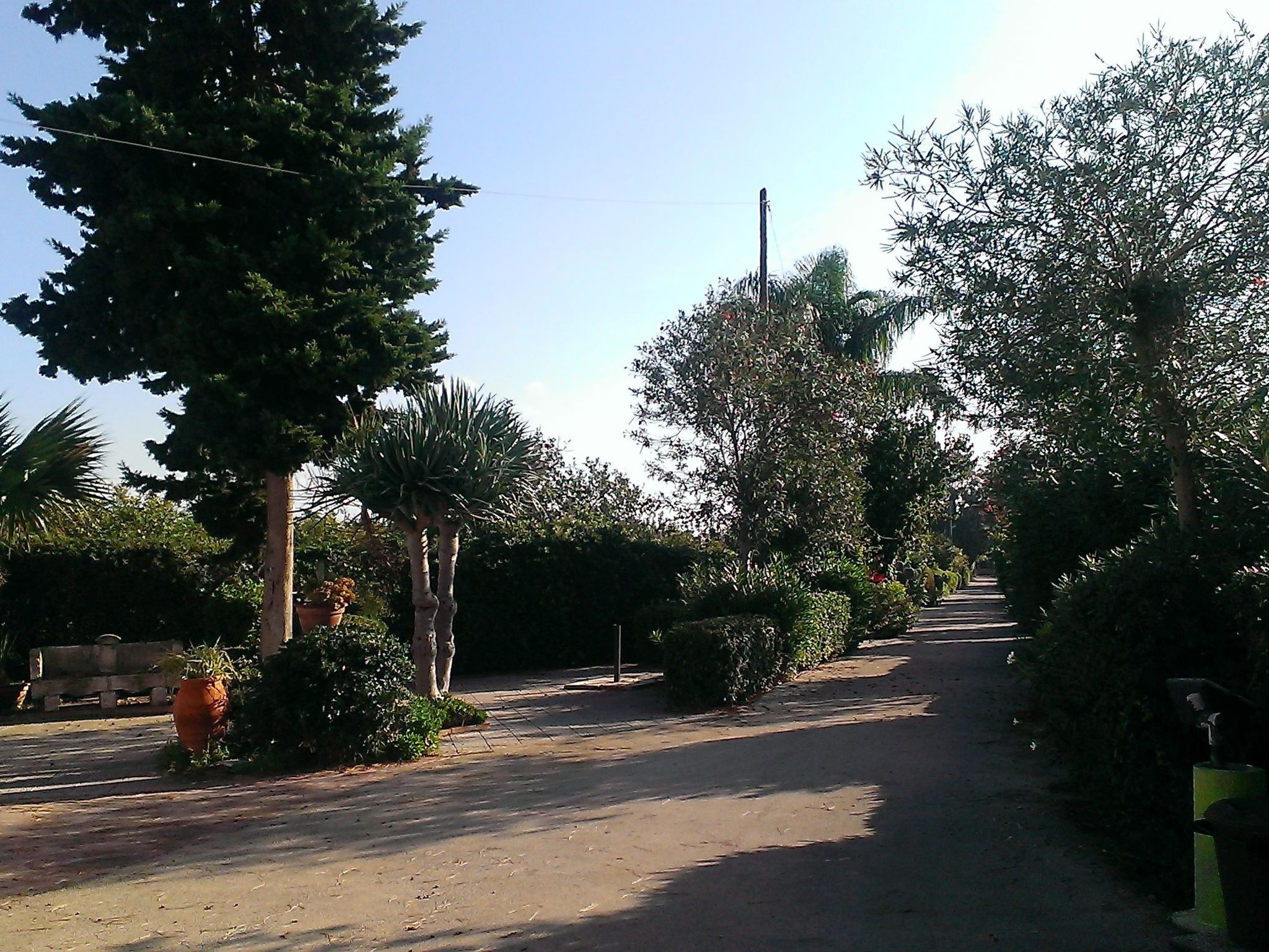 Für 12 Personen in Syrakus-Image-tags.info