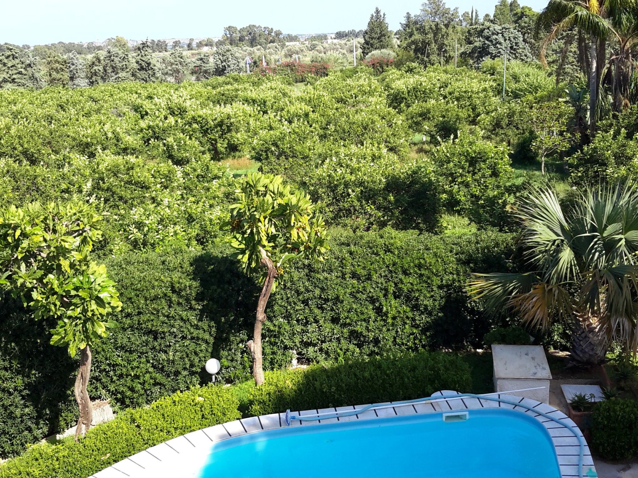 Für 12 Personen in Syrakus-Image-tags.info