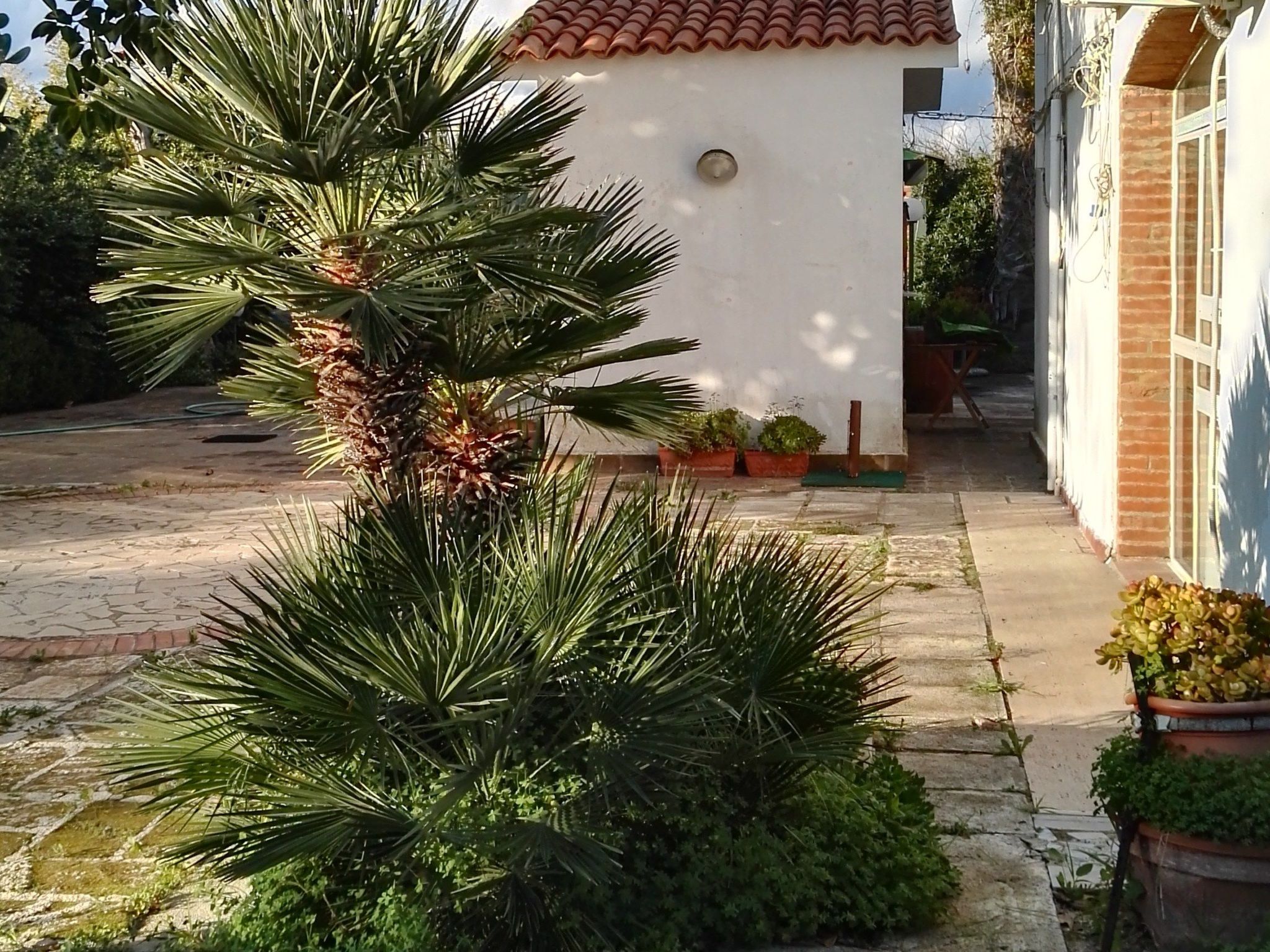 Für 12 Personen in Syrakus-Image-tags.info