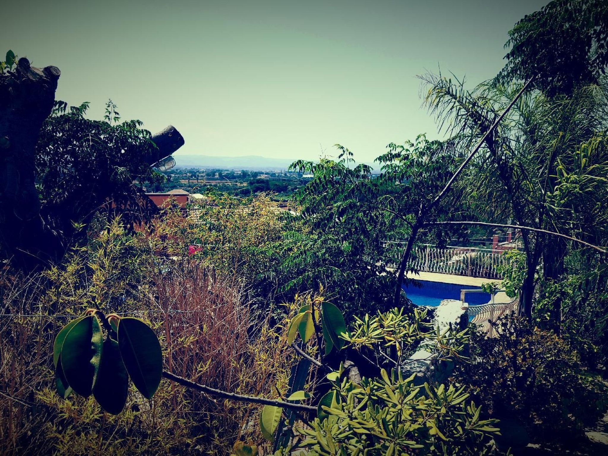 'Giosia'-Image-tags.info