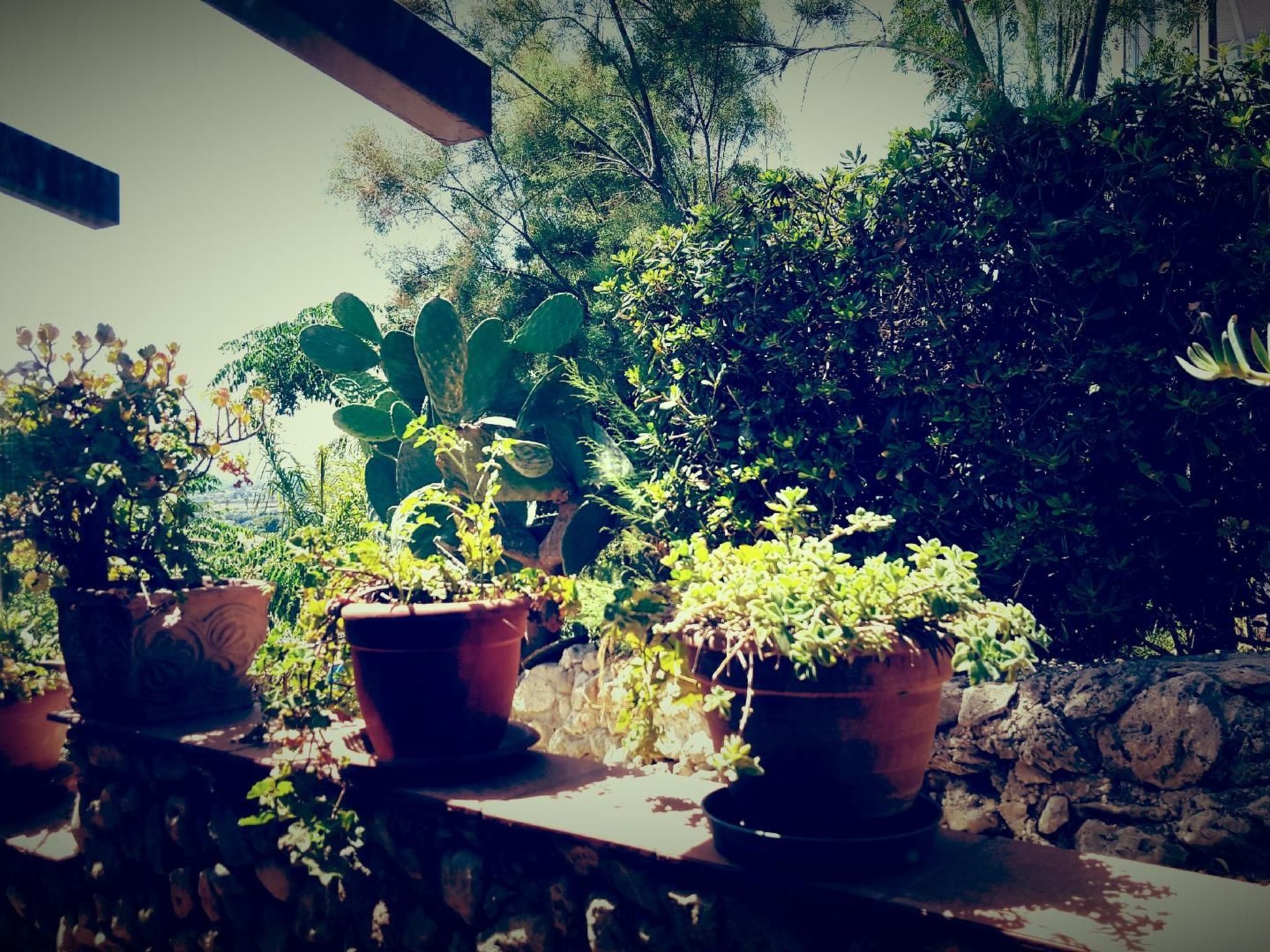 'Giosia'-Image-tags.info