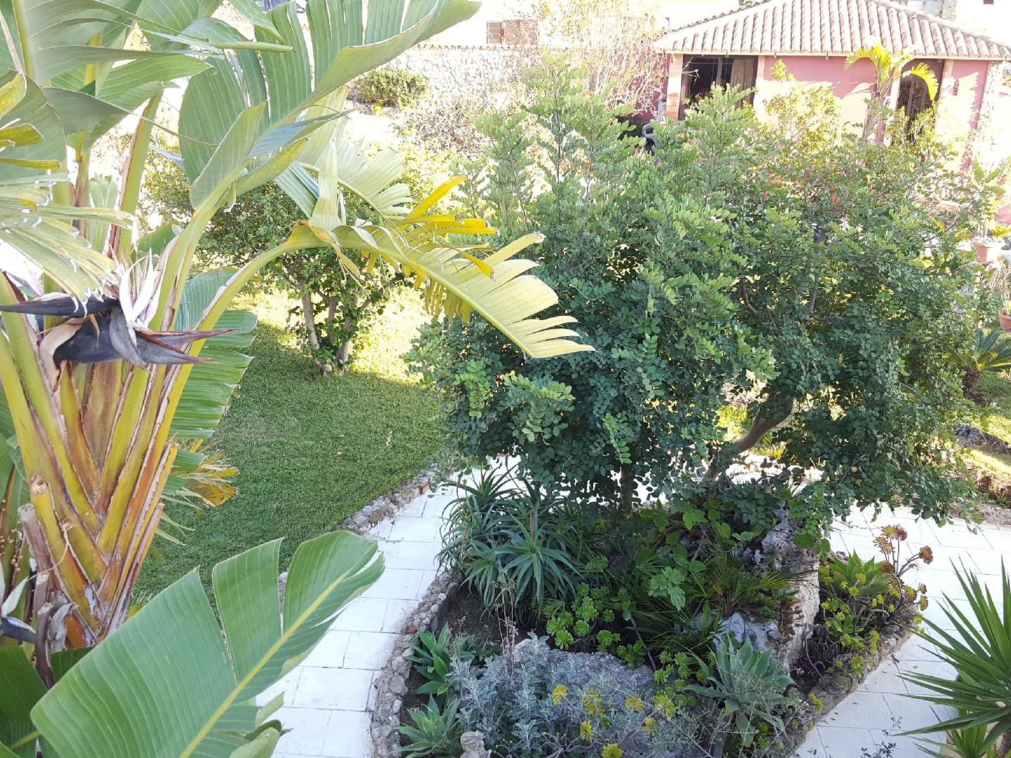 'Giosia'-Image-tags.info