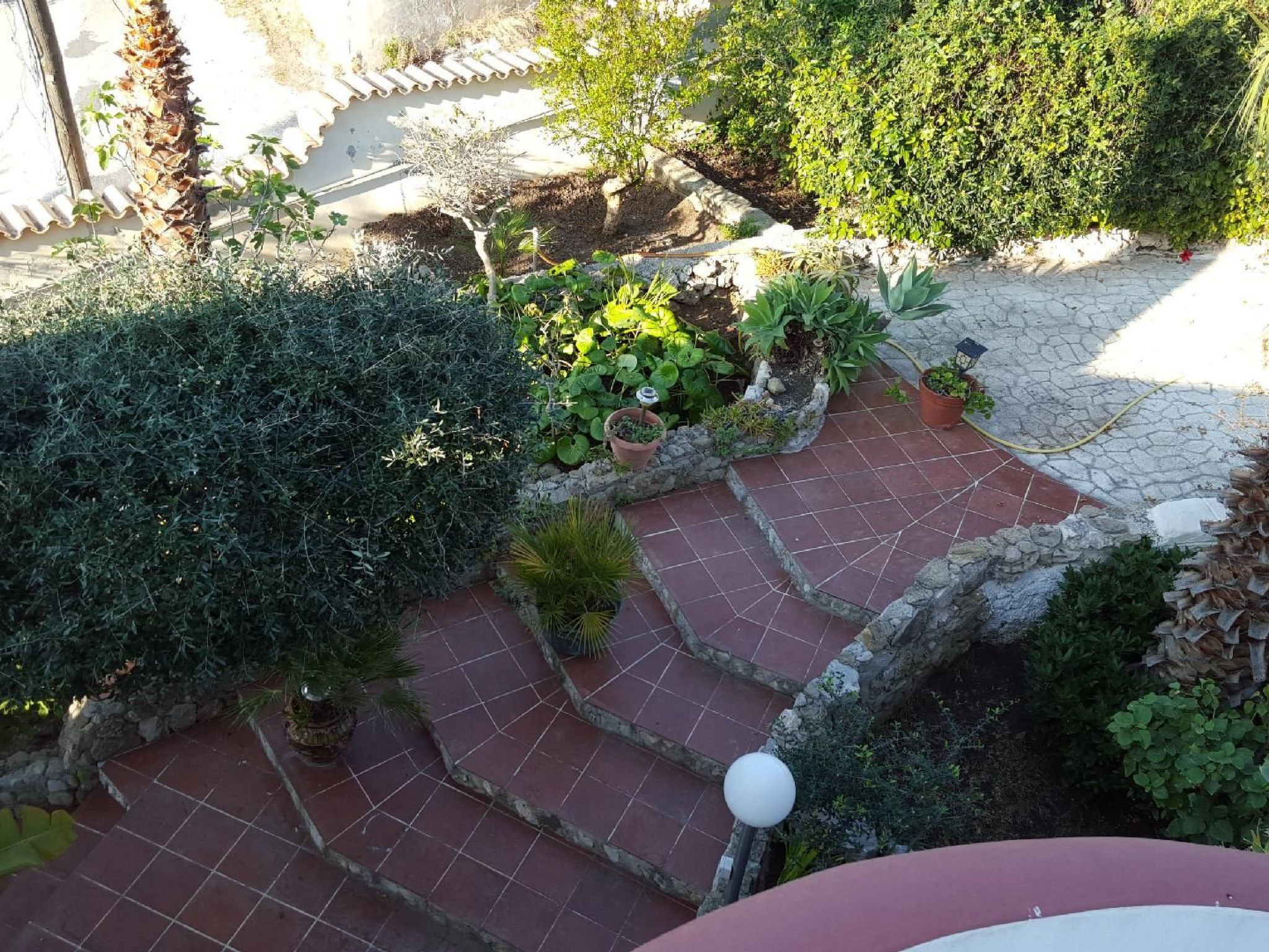 'Giosia'-Image-tags.info