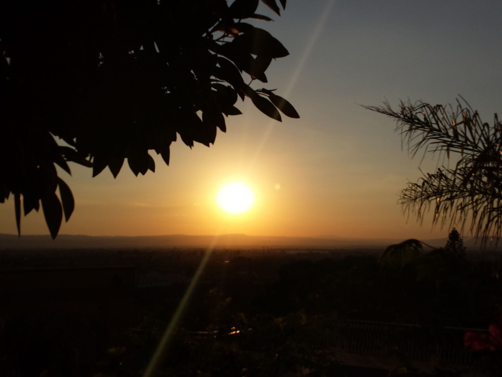 'Mirko'-Image-tags.info