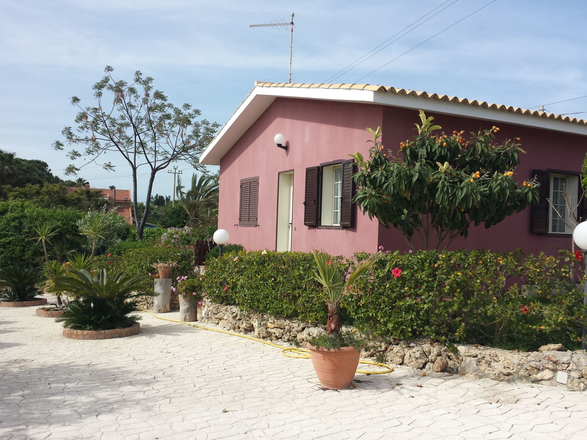 'Mirko'-Image-tags.info