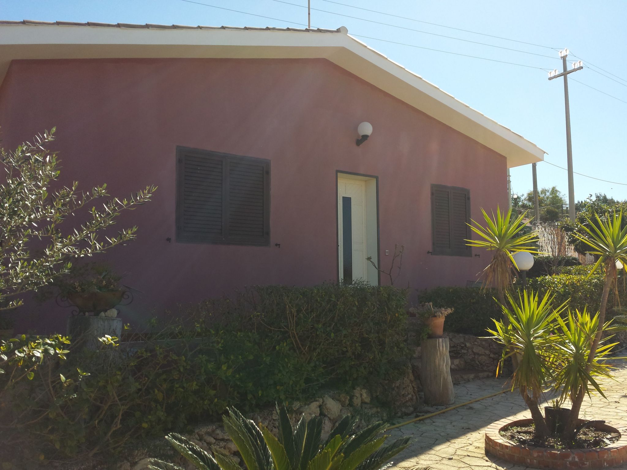 'Mirko'-Image-tags.info