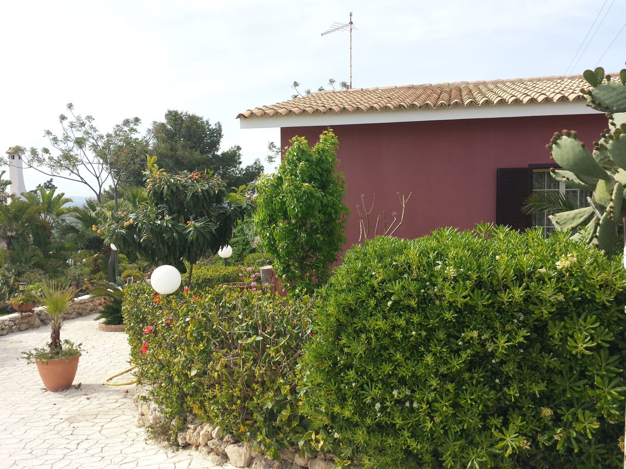 'Mirko'-Image-tags.info