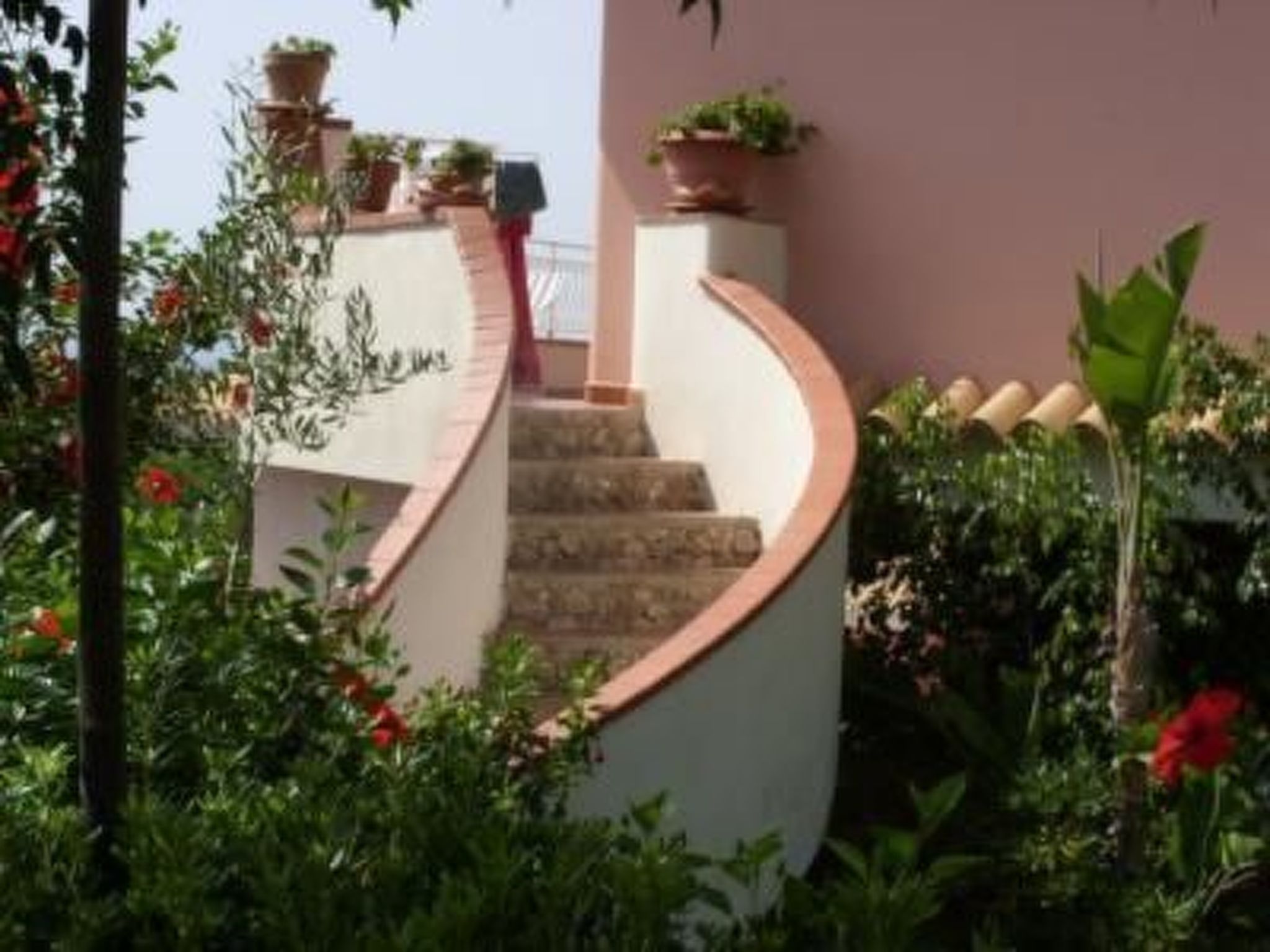 'Mirko'-Image-tags.info