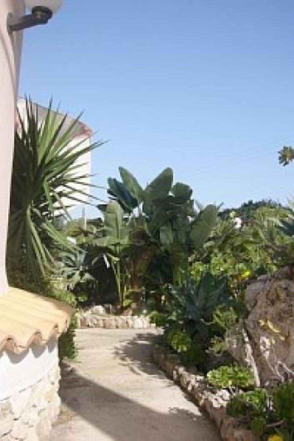 'Mirko'-Image-tags.info