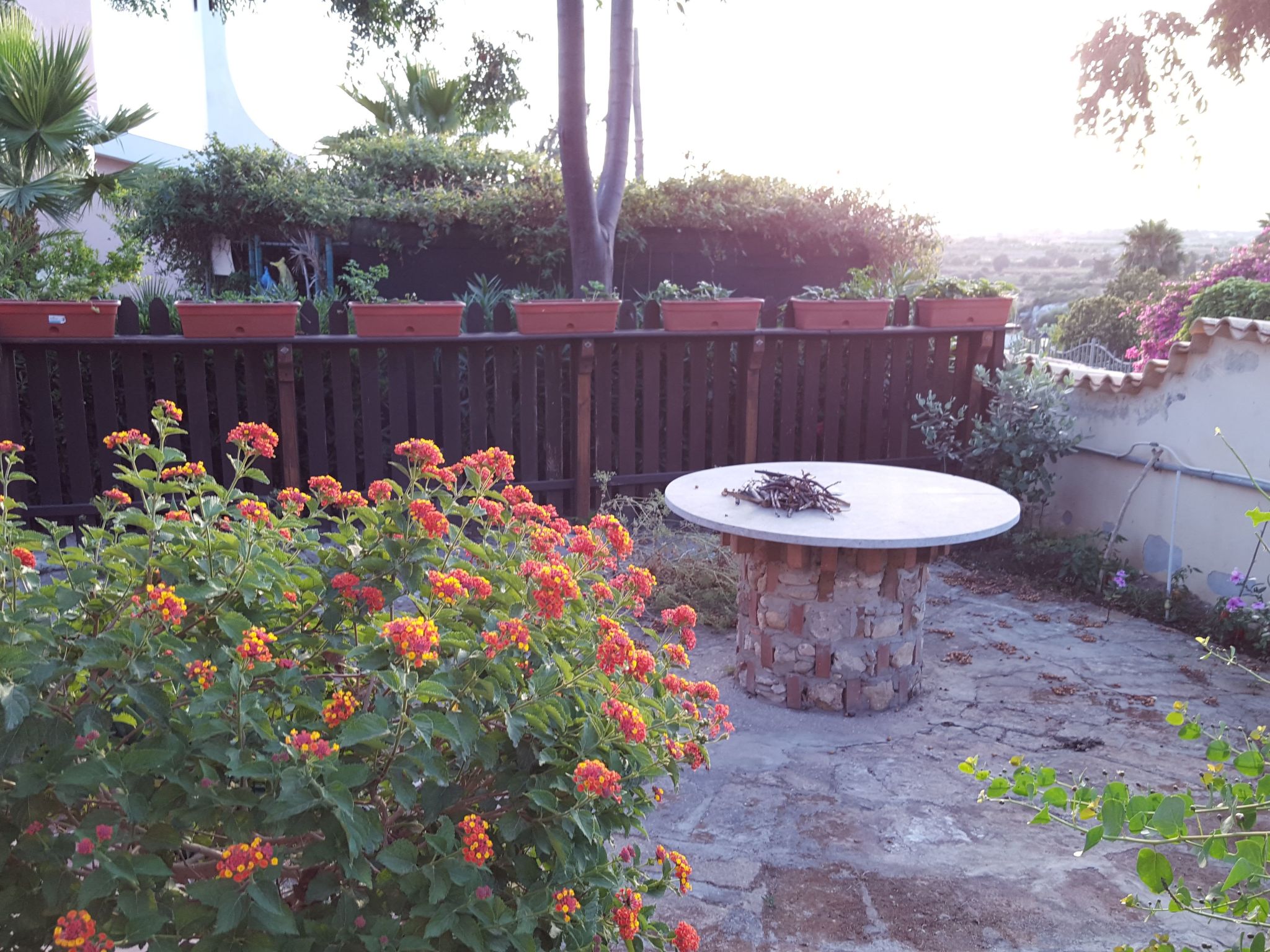 'Mirko'-Image-tags.info