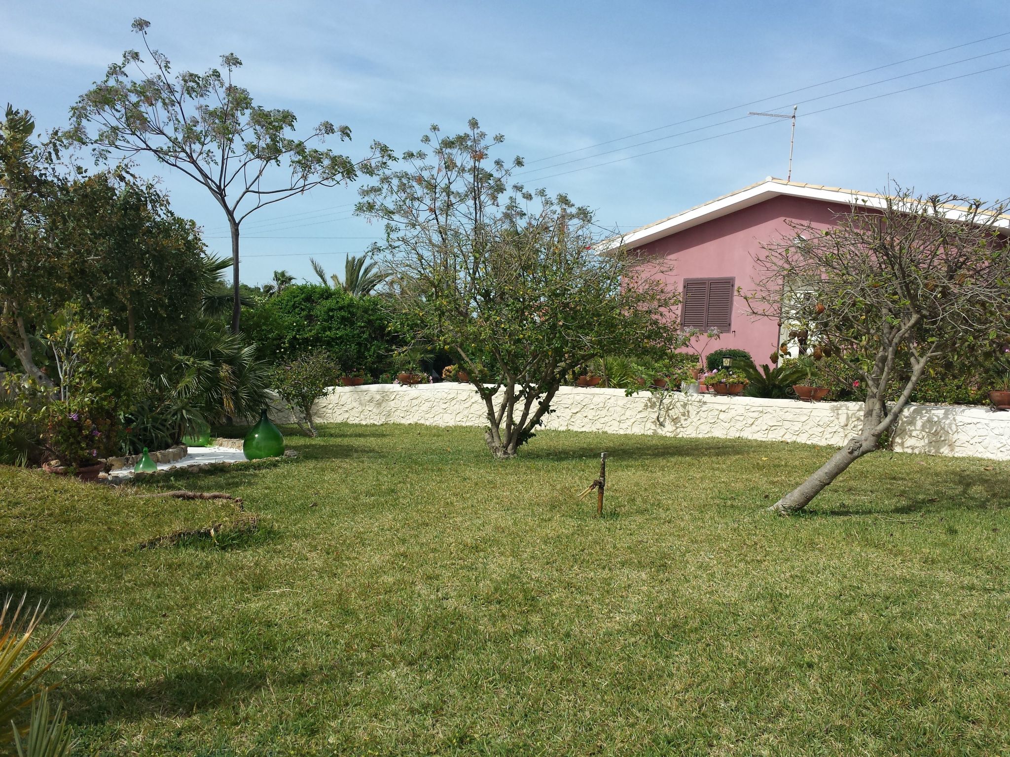 'Mirko'-Image-tags.info