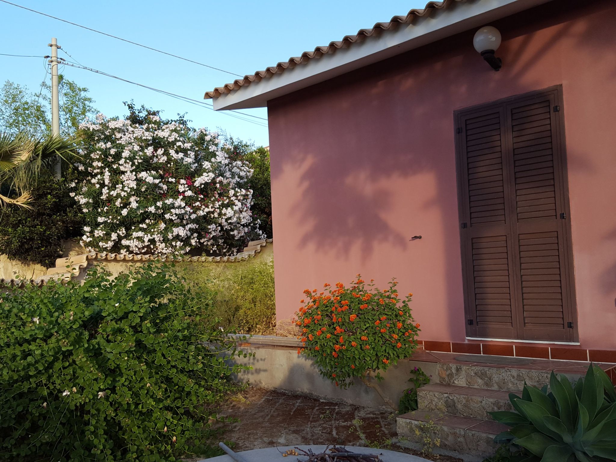 'Mirko'-Image-tags.info