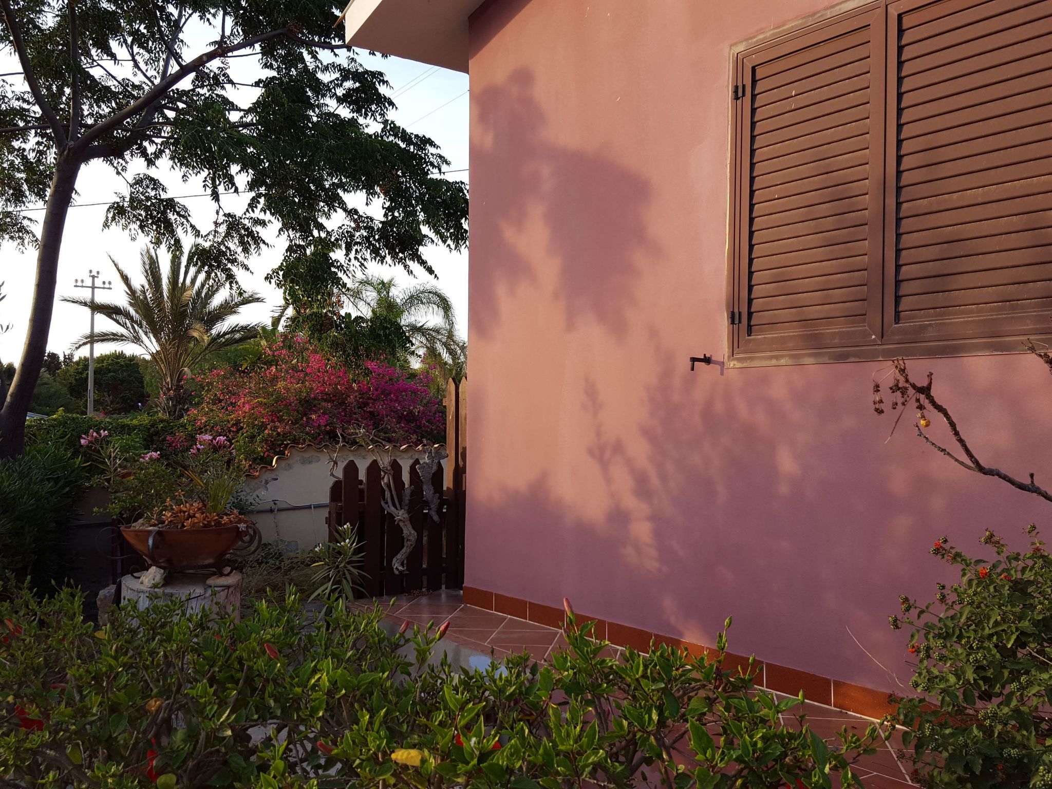 'Mirko'-Image-tags.info