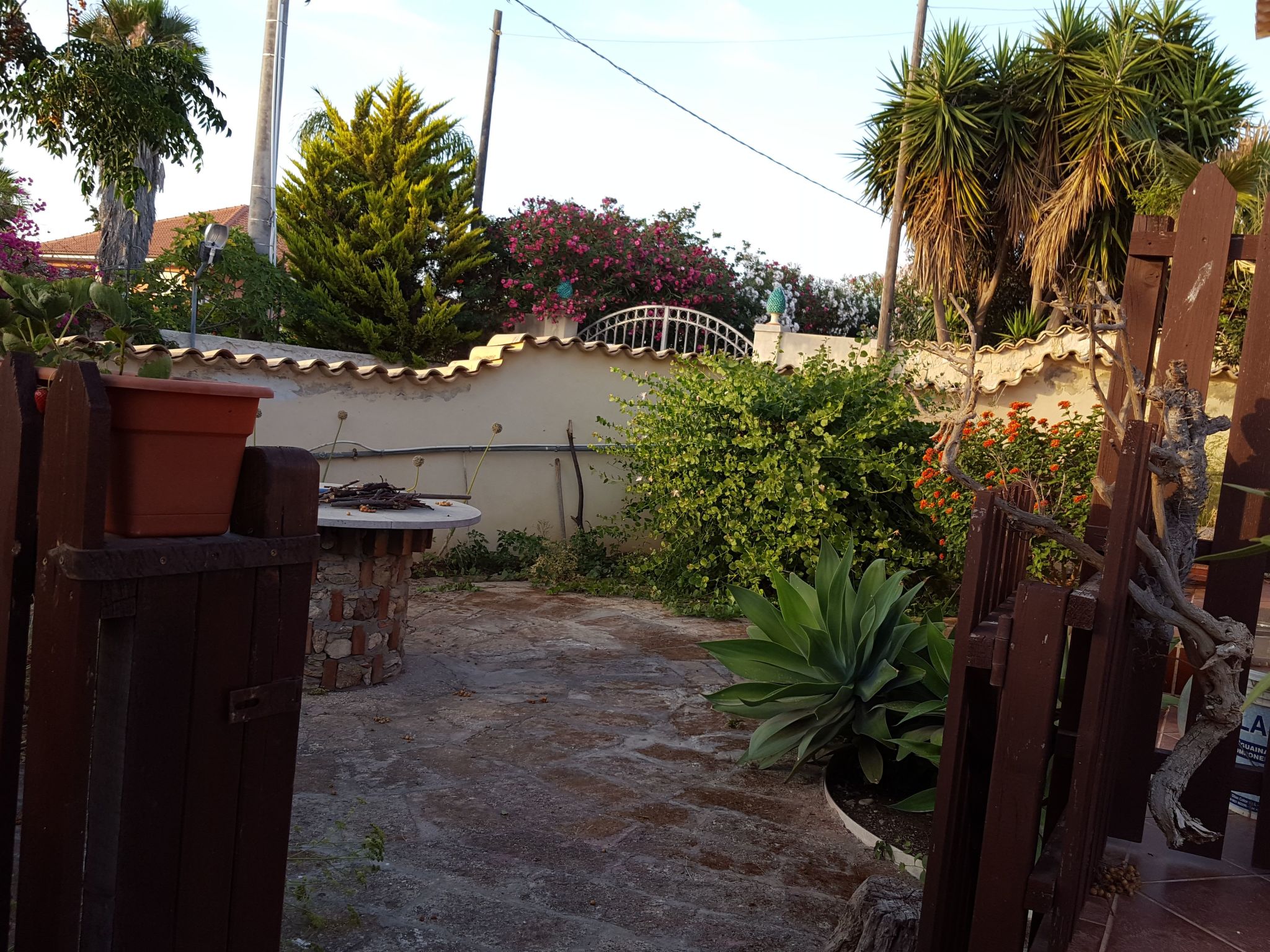 'Mirko'-Image-tags.info