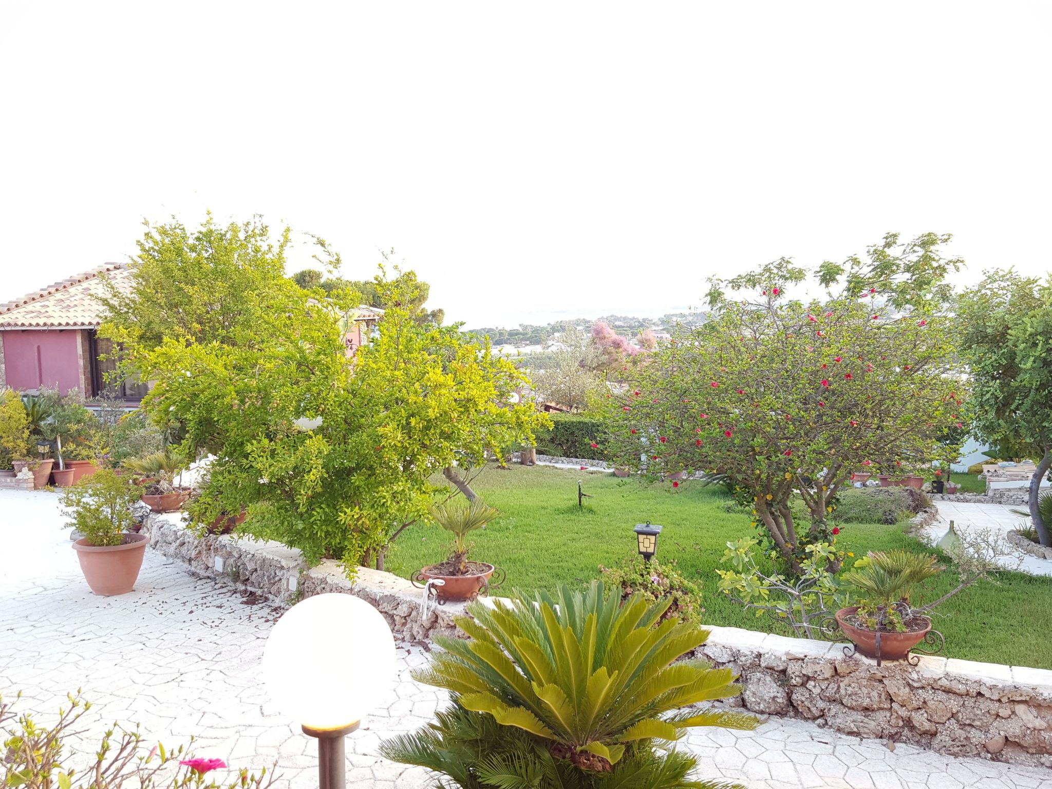 'Mirko'-Image-tags.info