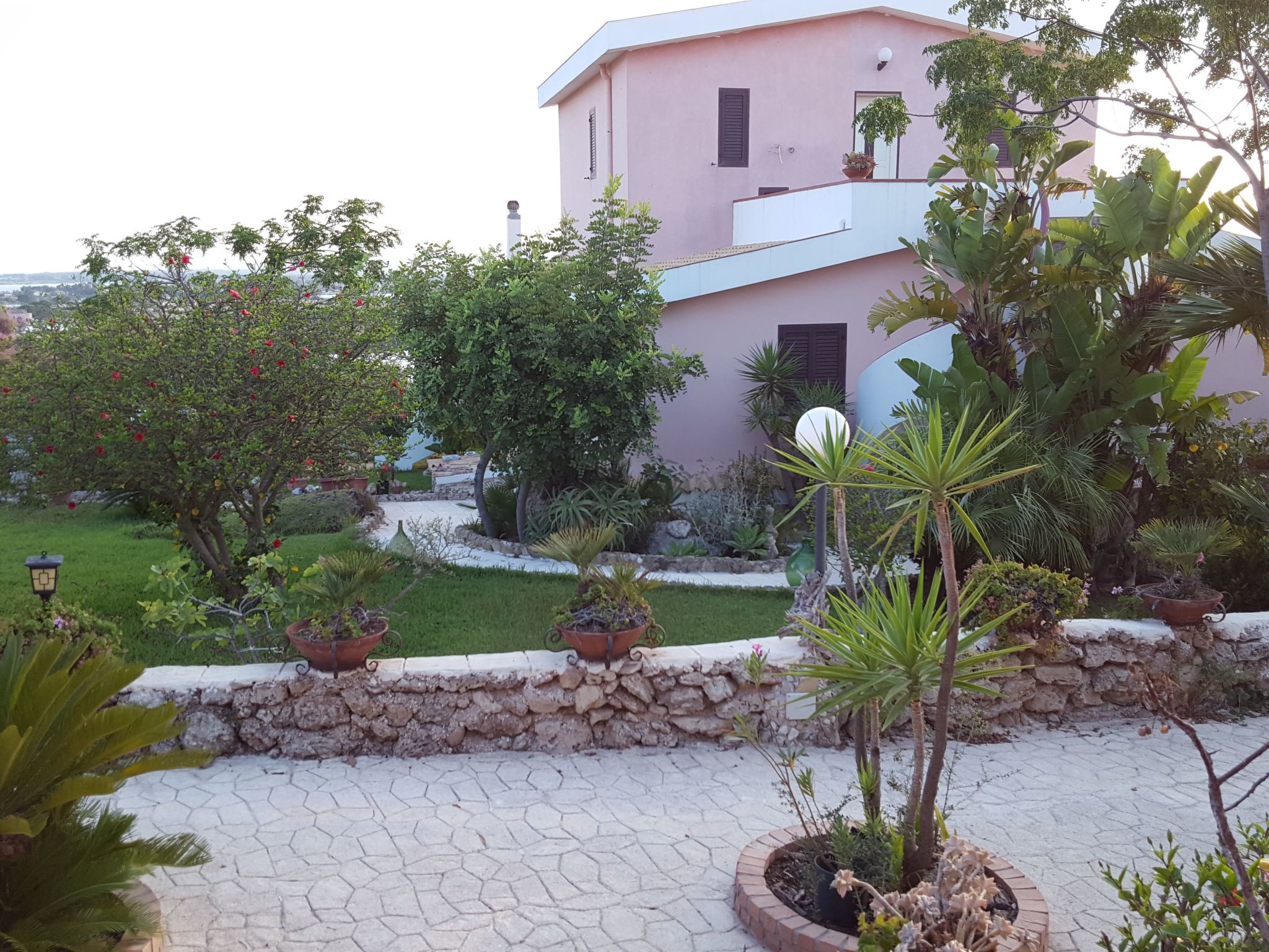 'Mirko'-Image-tags.info