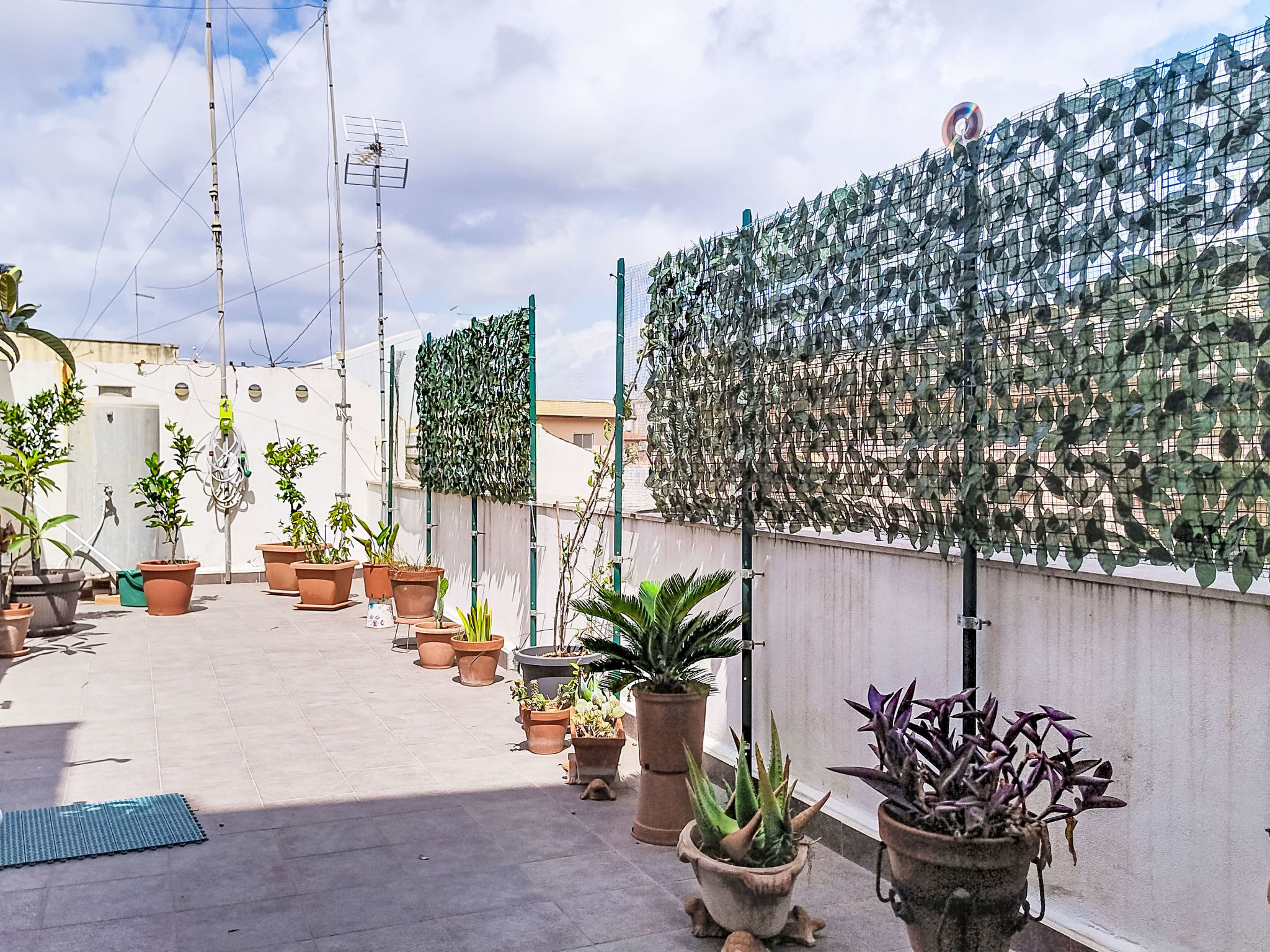 Photo of La Casa di Mary
