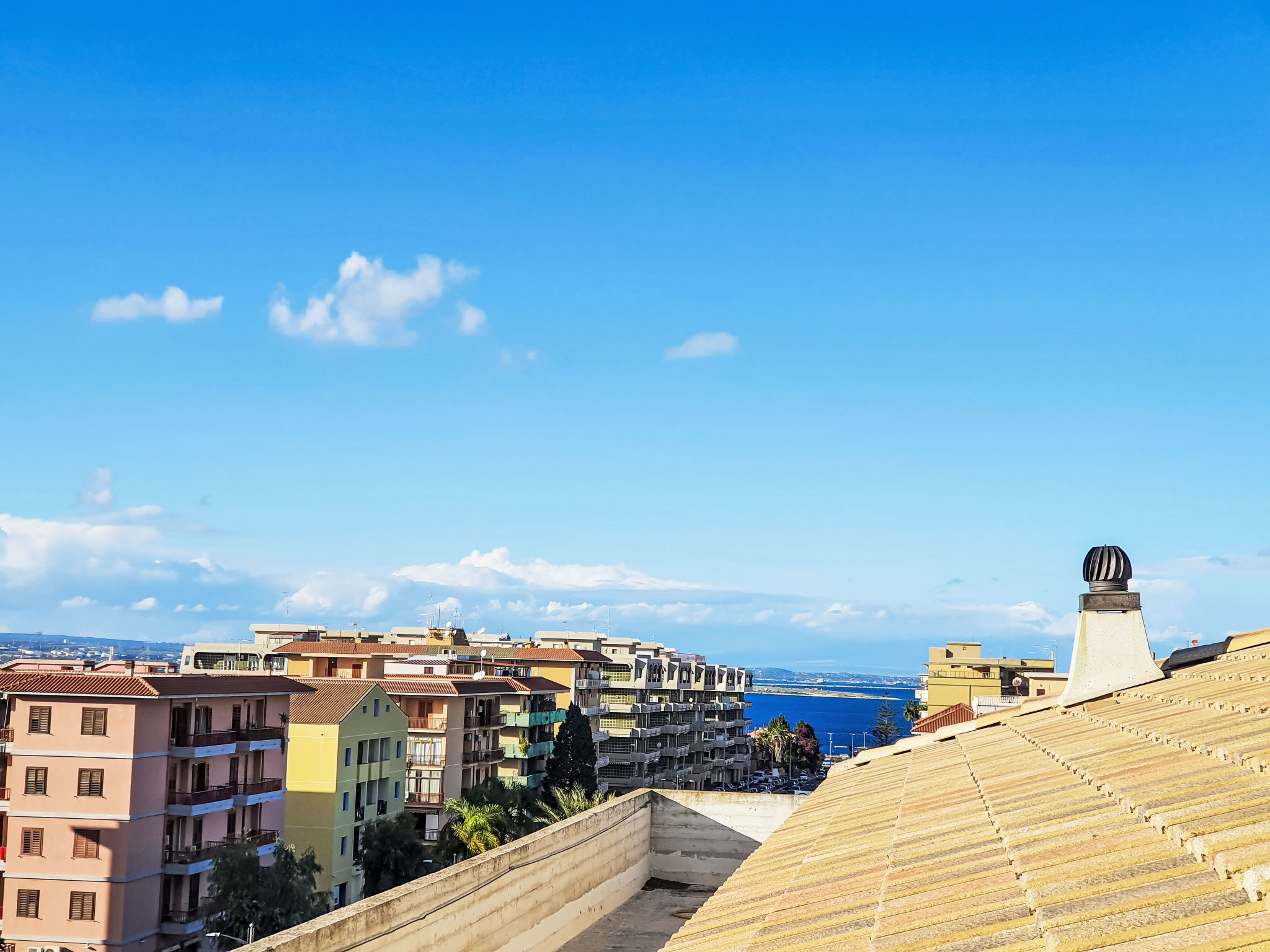 Photo of Rosie Holiday