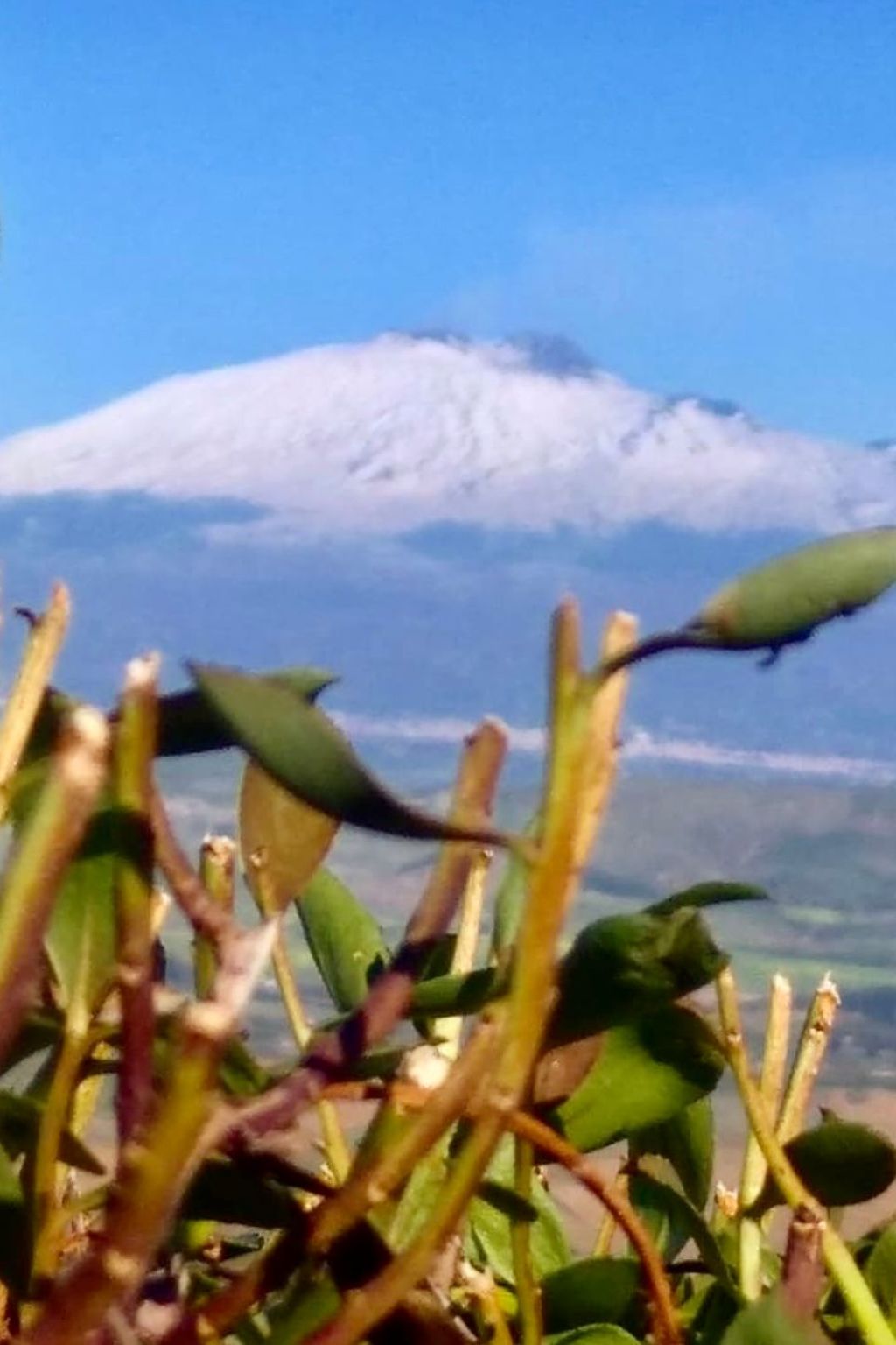 Alley's Haus-Image-tags.info