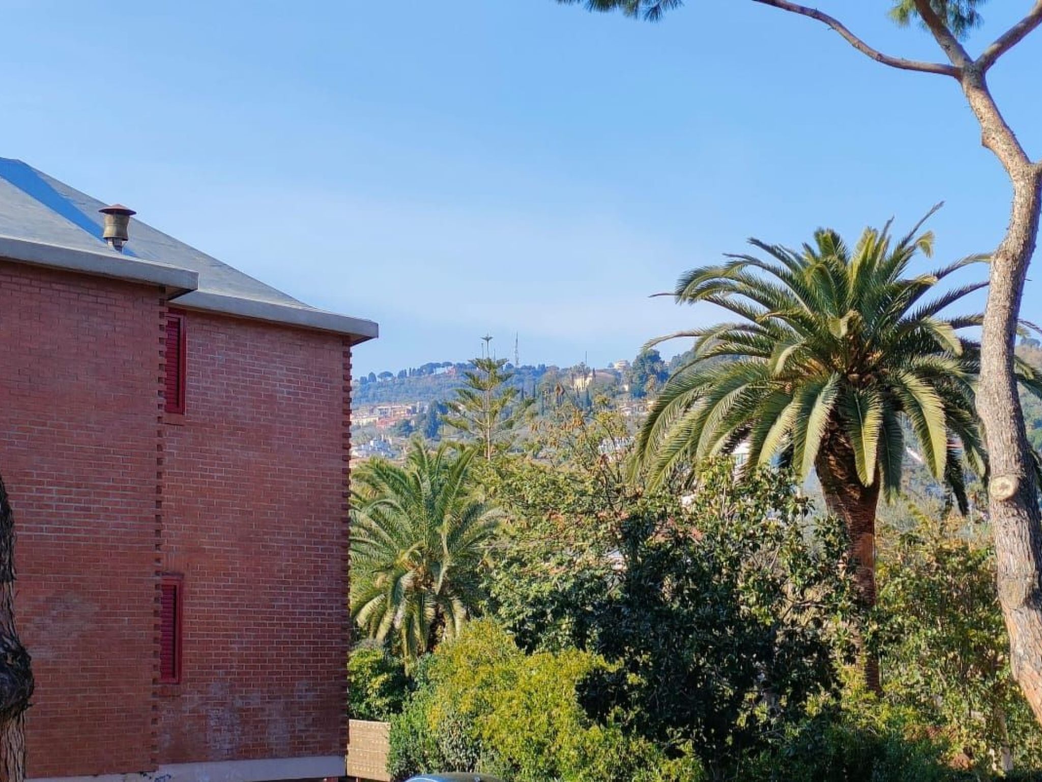 'Louise' in Strandnähe-Image-tags.info