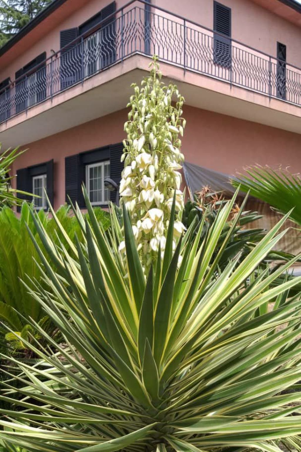 Sizilianisches Haus-Binnen