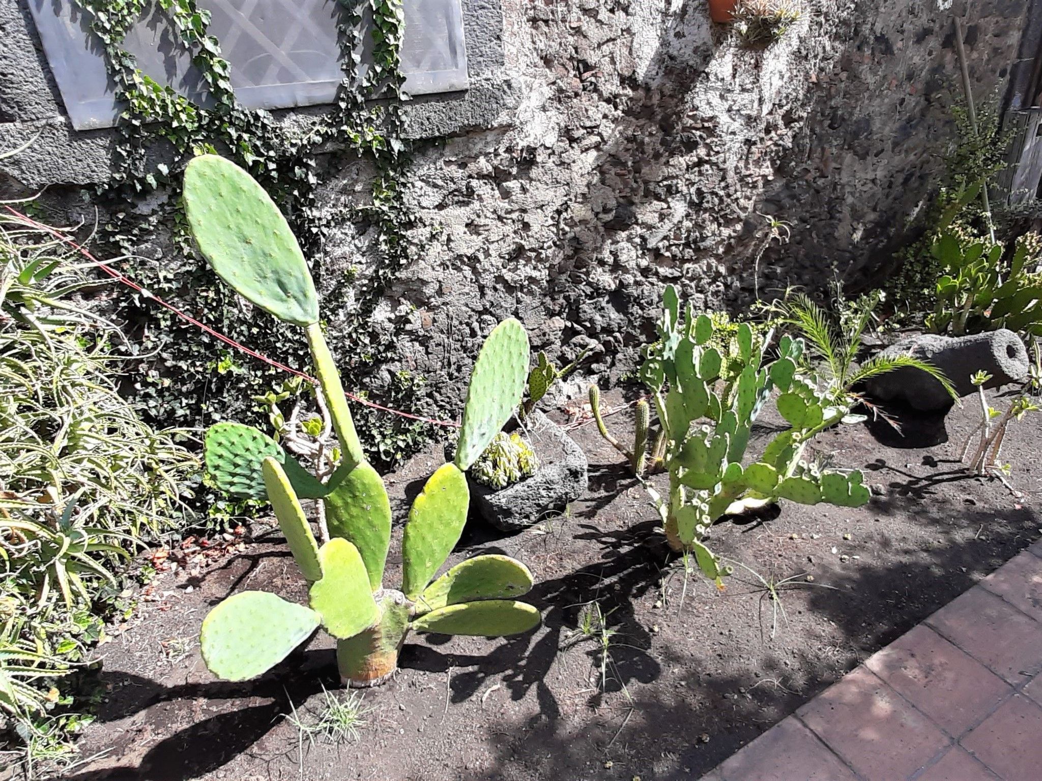 Sizilianisches Haus-Binnen