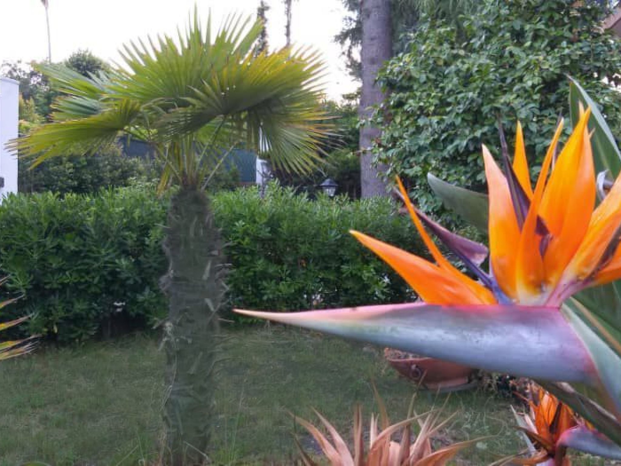 Sizilianisches Haus-Binnen