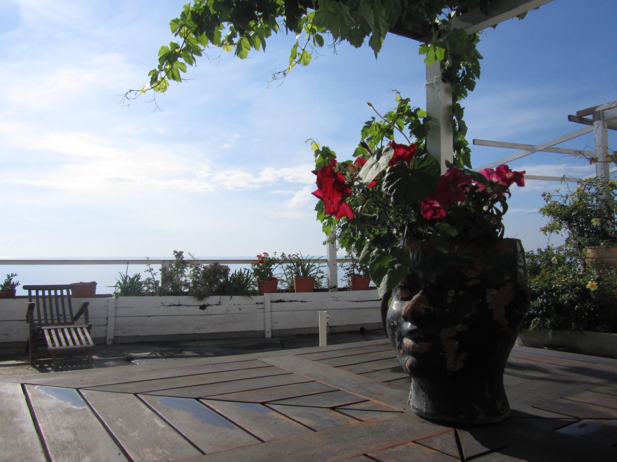 Mit Wasserblick-Image-tags.info