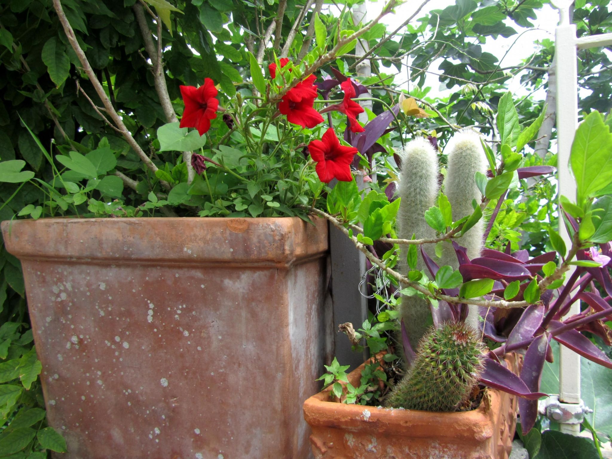 Mit Wasserblick-Image-tags.info