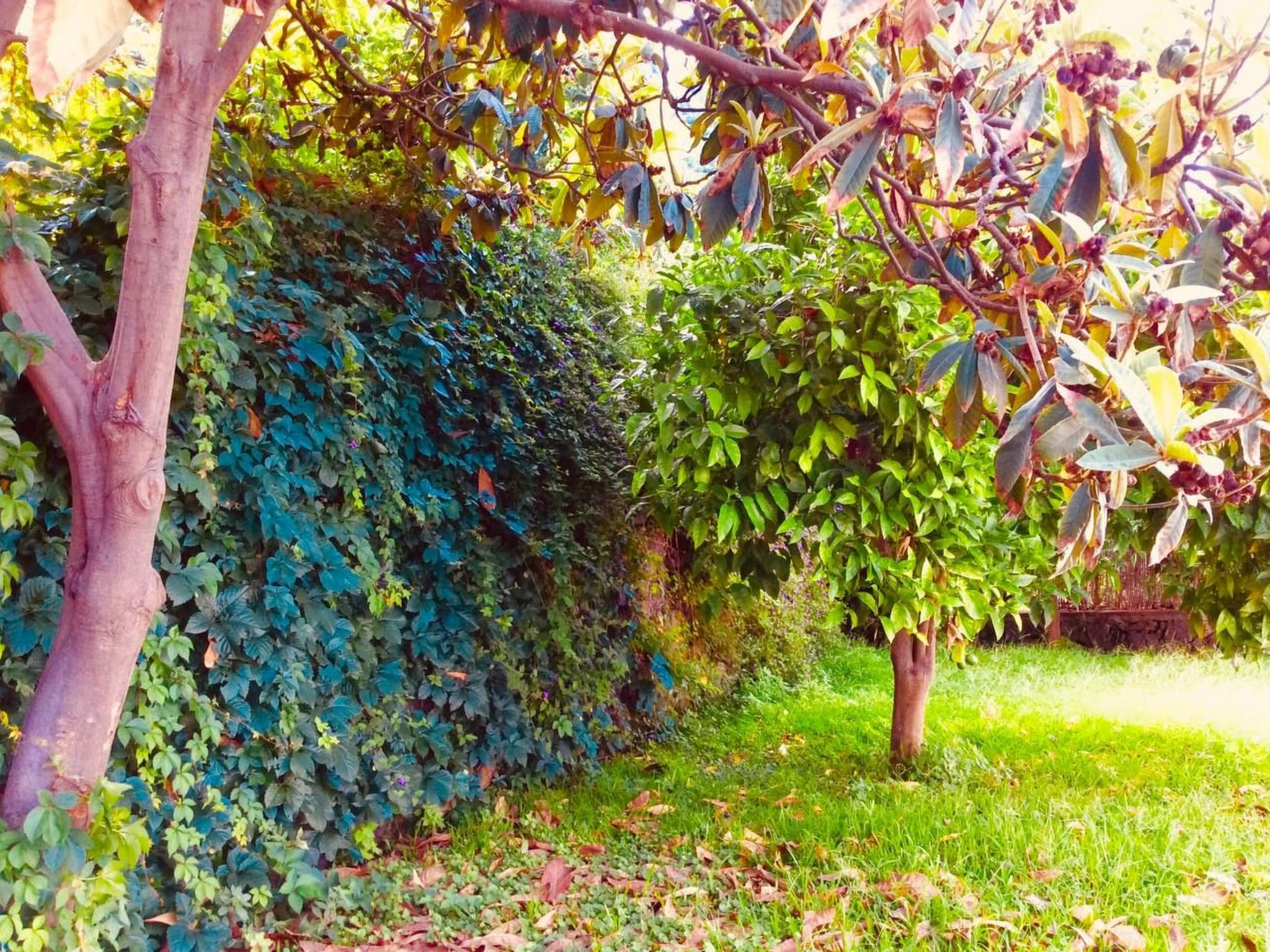 Villa mit Wasserblick