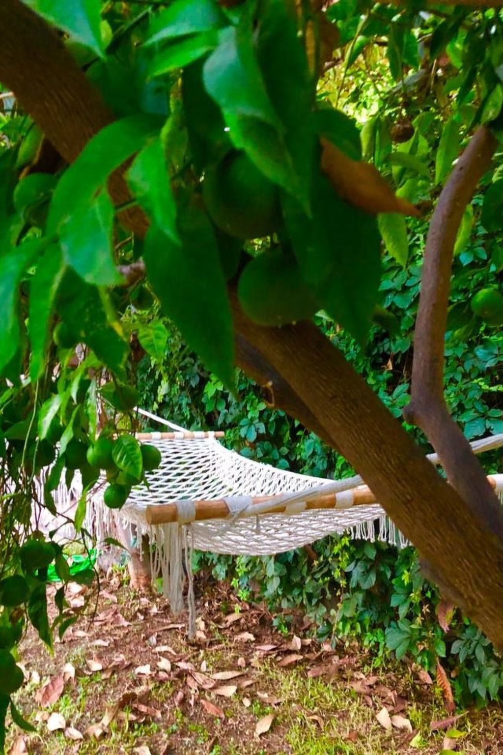 Villa mit Wasserblick-Buiten