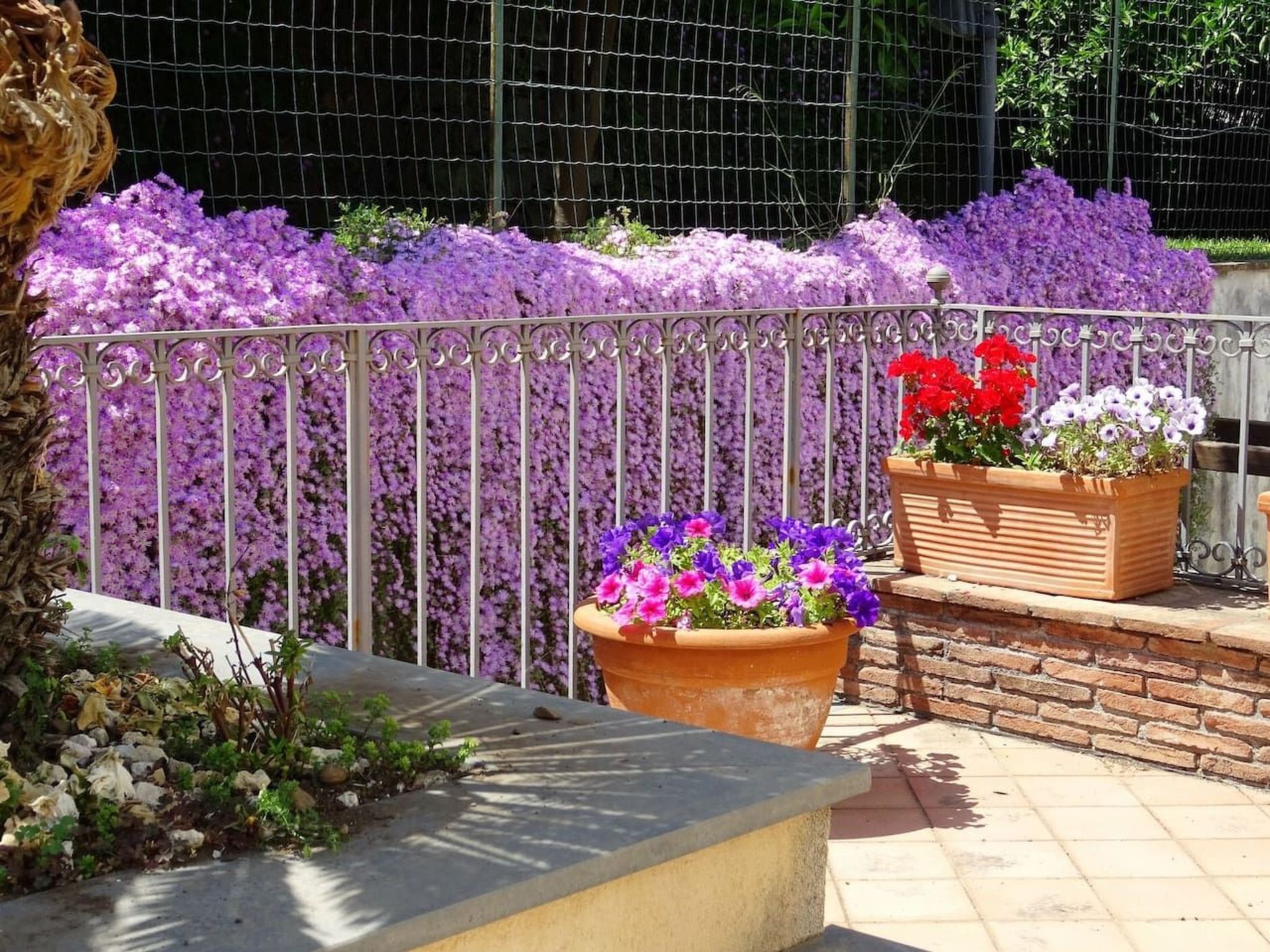 Villa mit Wasserblick-Image-tags.info