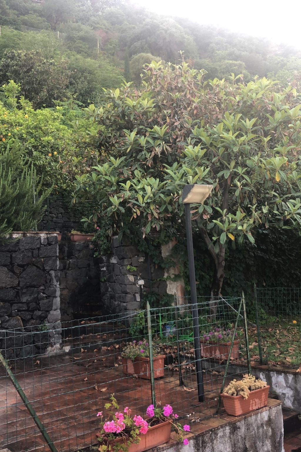 Villa mit Wasserblick-Buiten