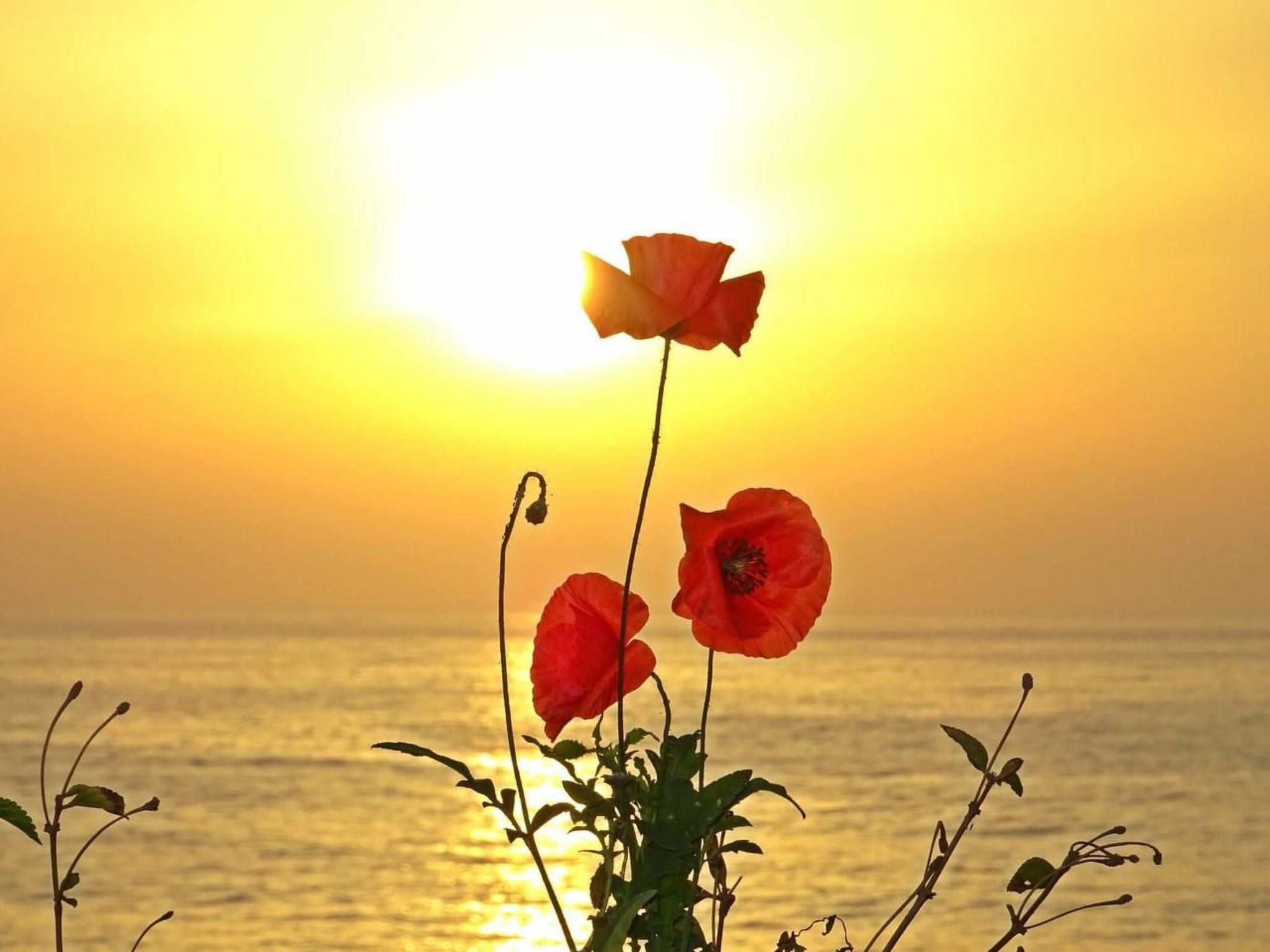 Villa mit Wasserblick-Buiten