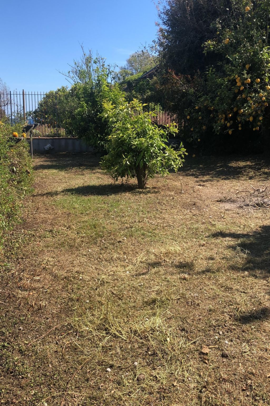 Villa mit Wasserblick-Buiten