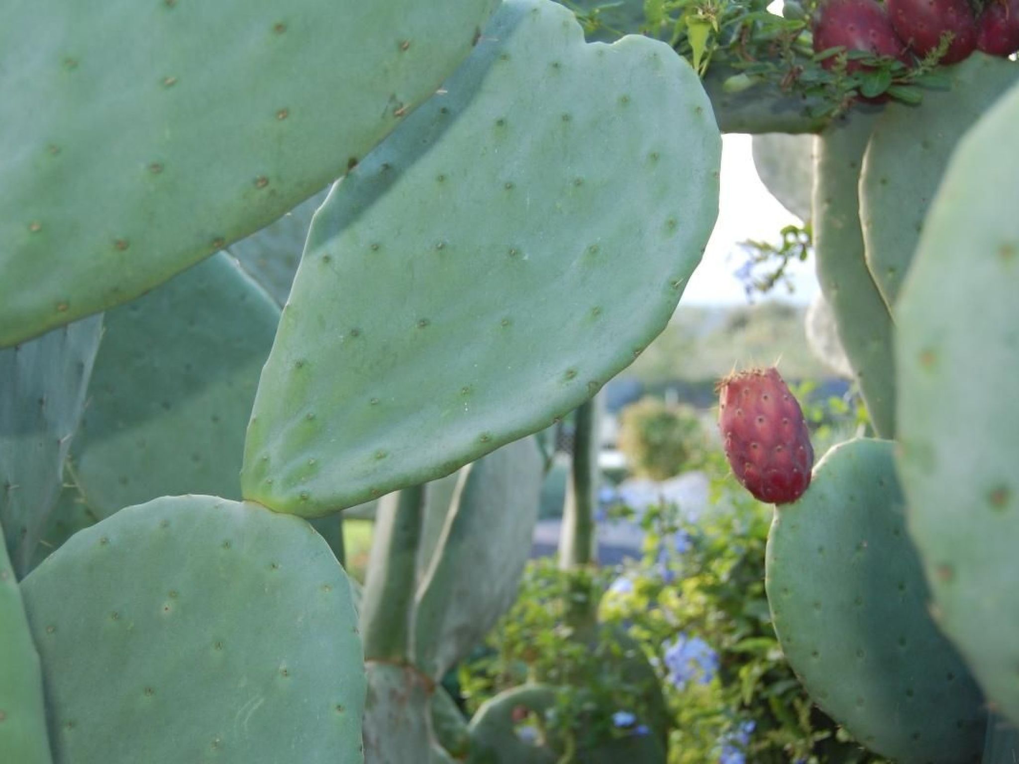 Wohnung 'Casa Etna' mit Wasserblick-Binnen