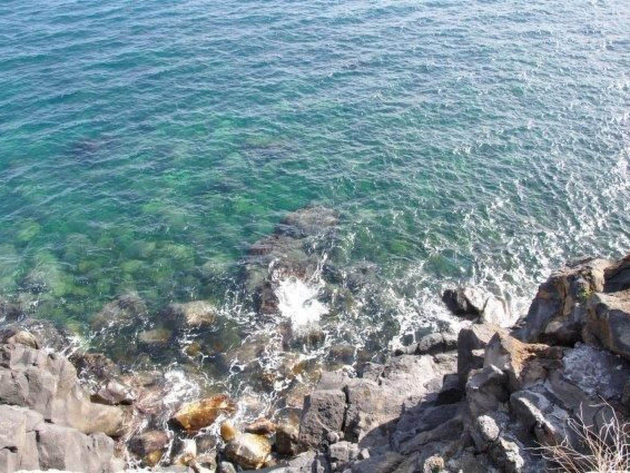 Zweizimmerwohnung-Binnen