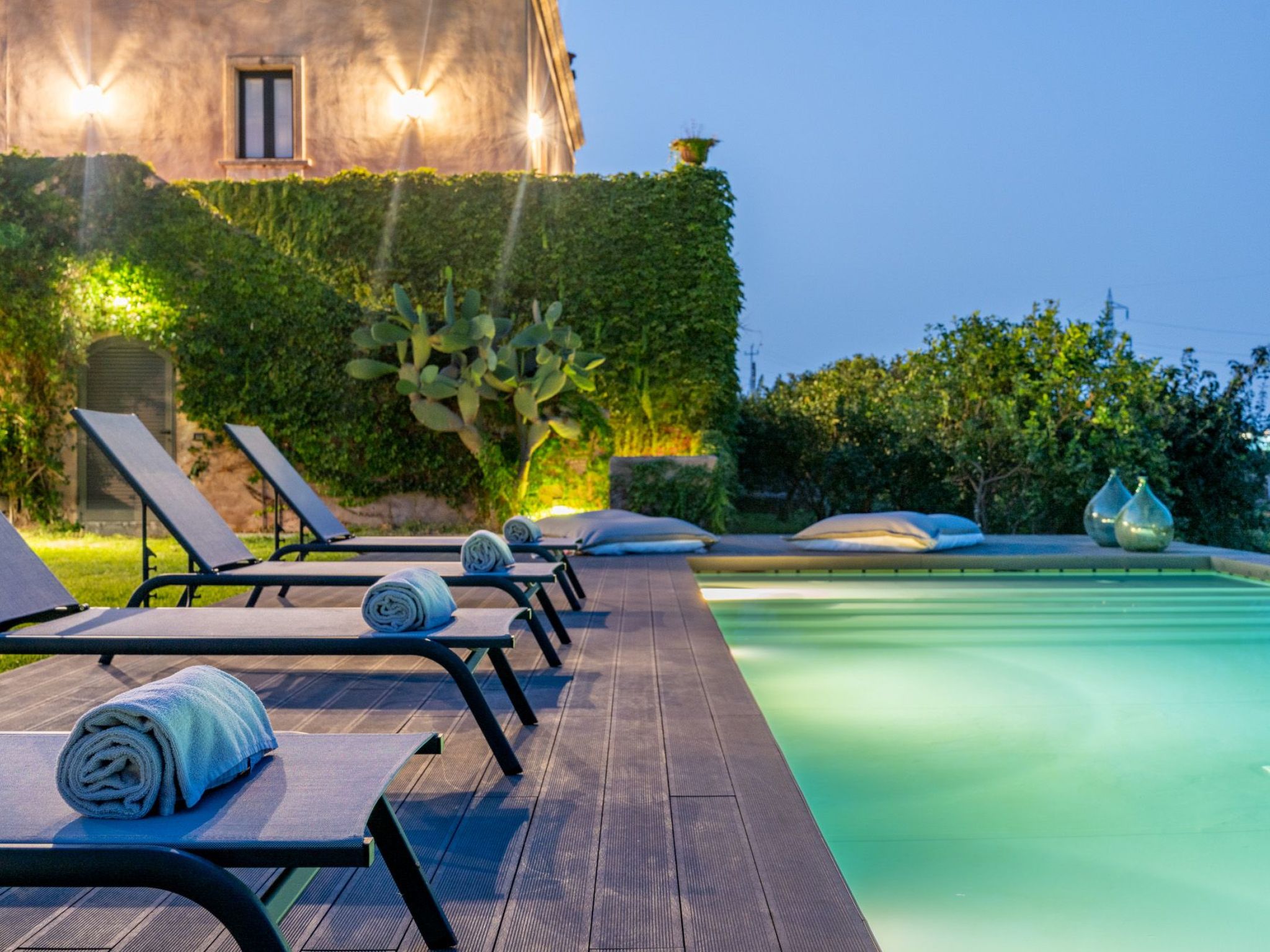 Avocado Garten-Binnen